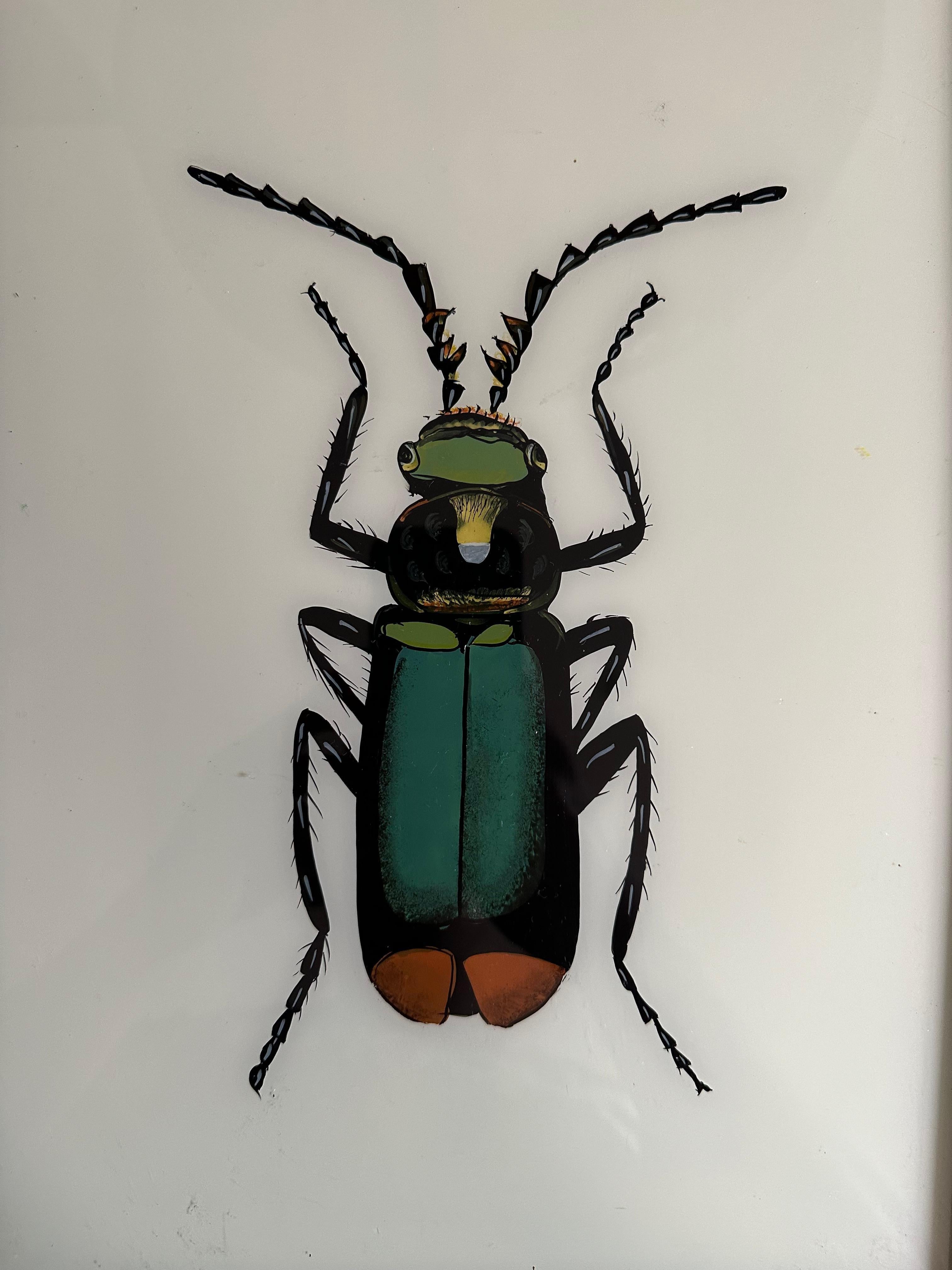 Diese aufwändige Illustration eines großen Käfers aus dem 19. Jahrhundert zeigt die bemerkenswerte Detailtreue und Kunstfertigkeit, die für entomologische Studien dieser Zeit charakteristisch sind. Die präzise Darstellung des Künstlers hebt die