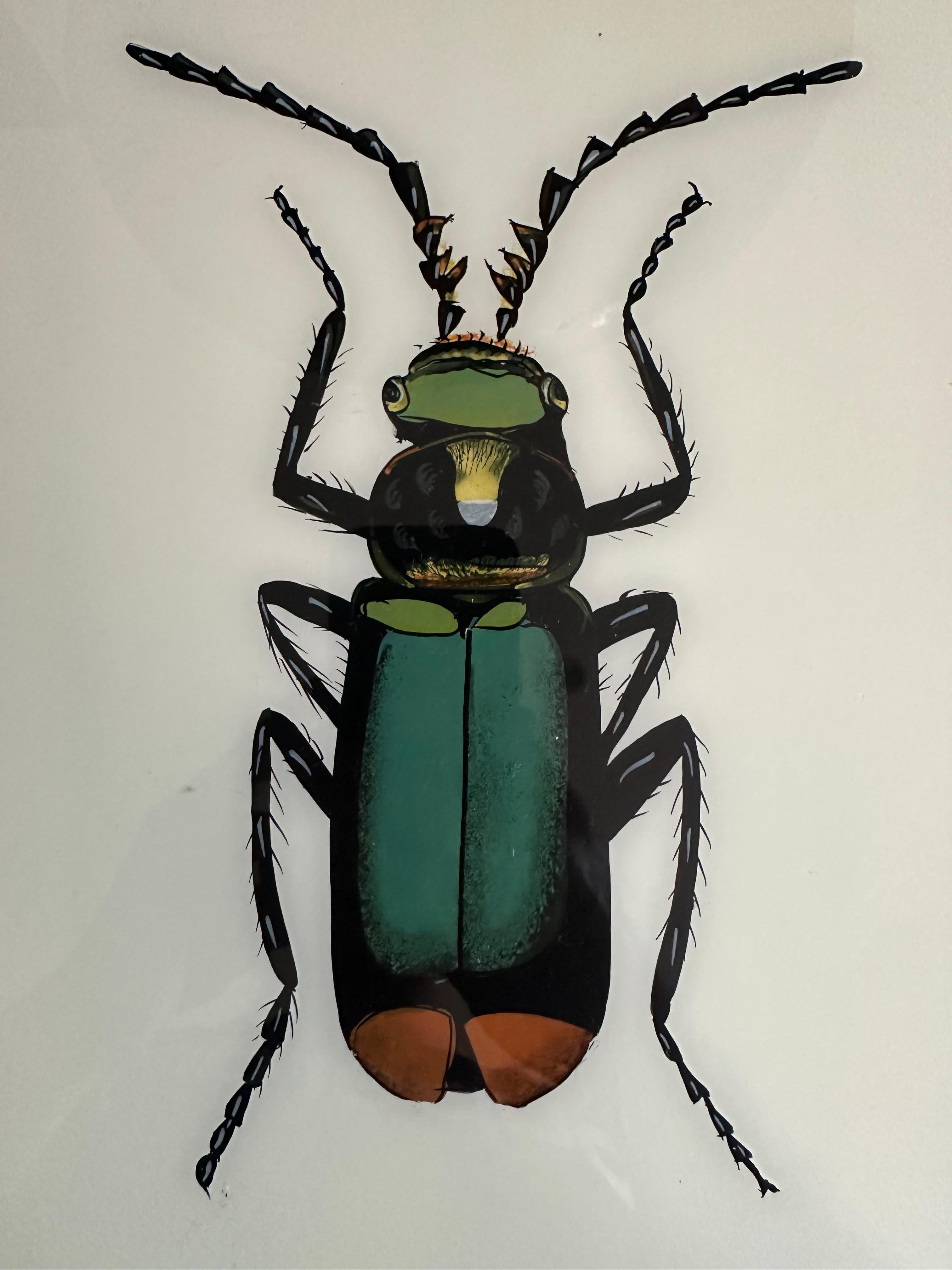 „19th-Century Large Bug Illustration: Intricate Entomological Art“ (Englisch) im Angebot