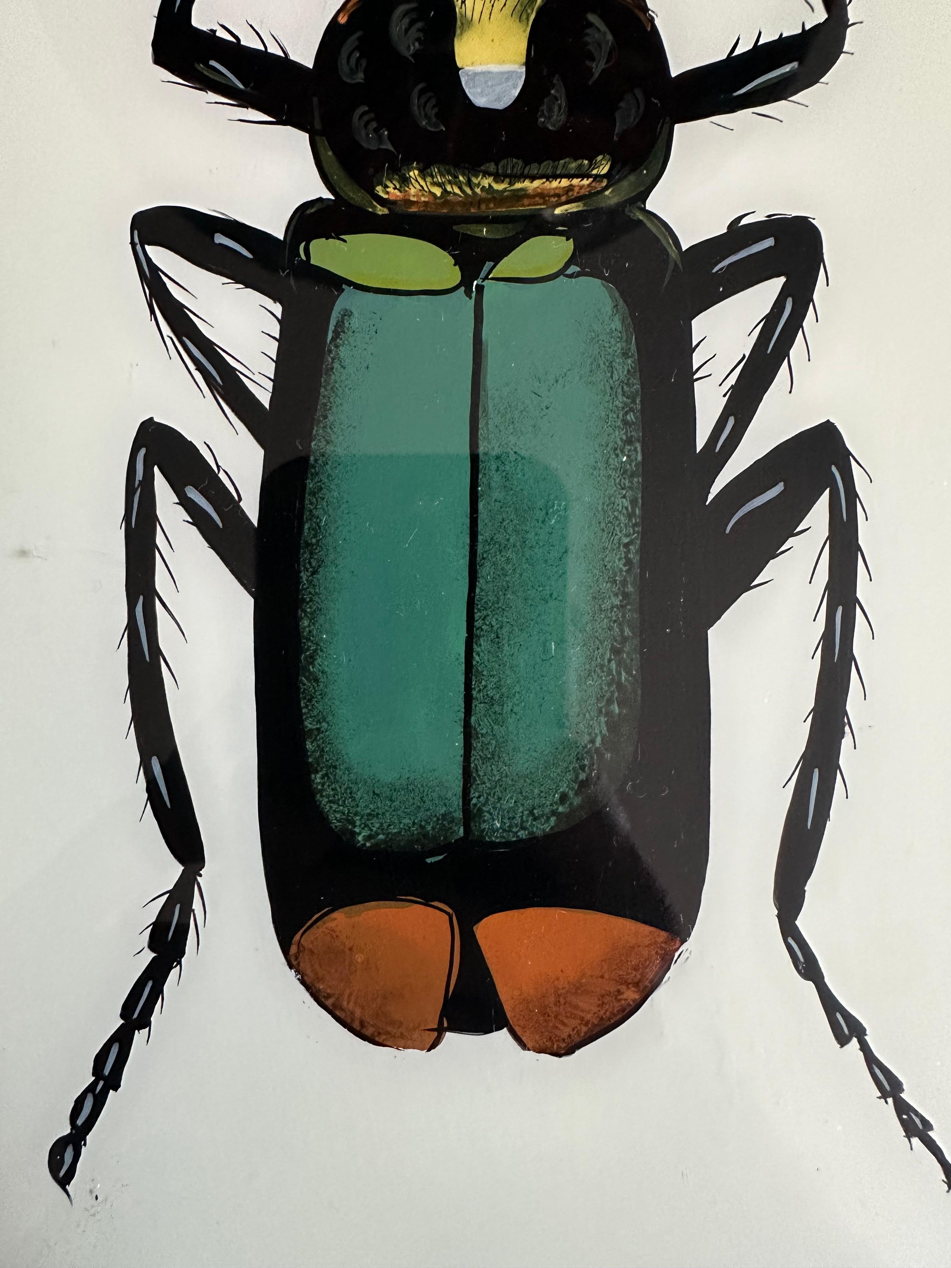 „19th-Century Large Bug Illustration: Intricate Entomological Art“ im Zustand „Gut“ im Angebot in Southall, GB