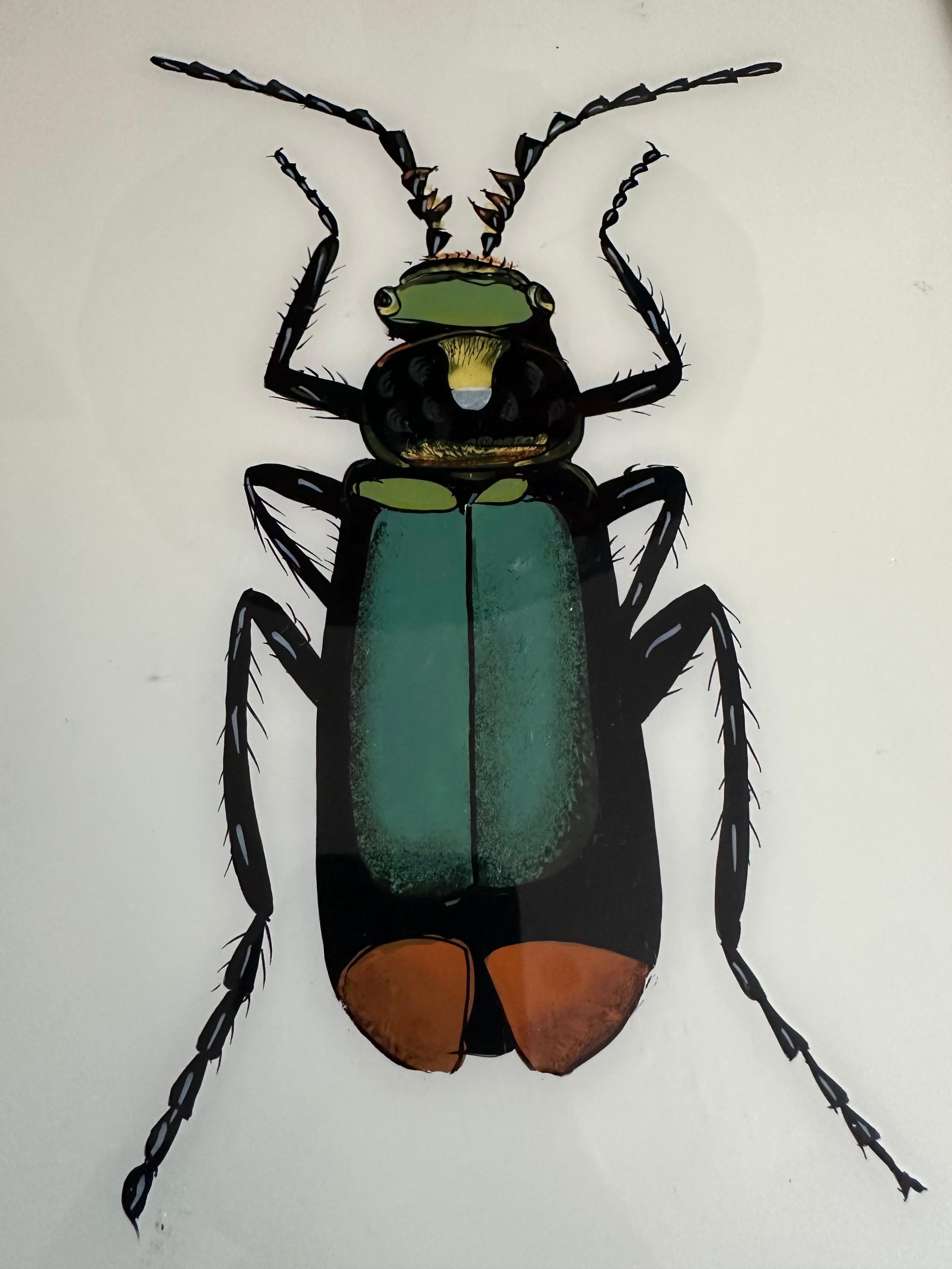 „19th-Century Large Bug Illustration: Intricate Entomological Art“ (19. Jahrhundert) im Angebot
