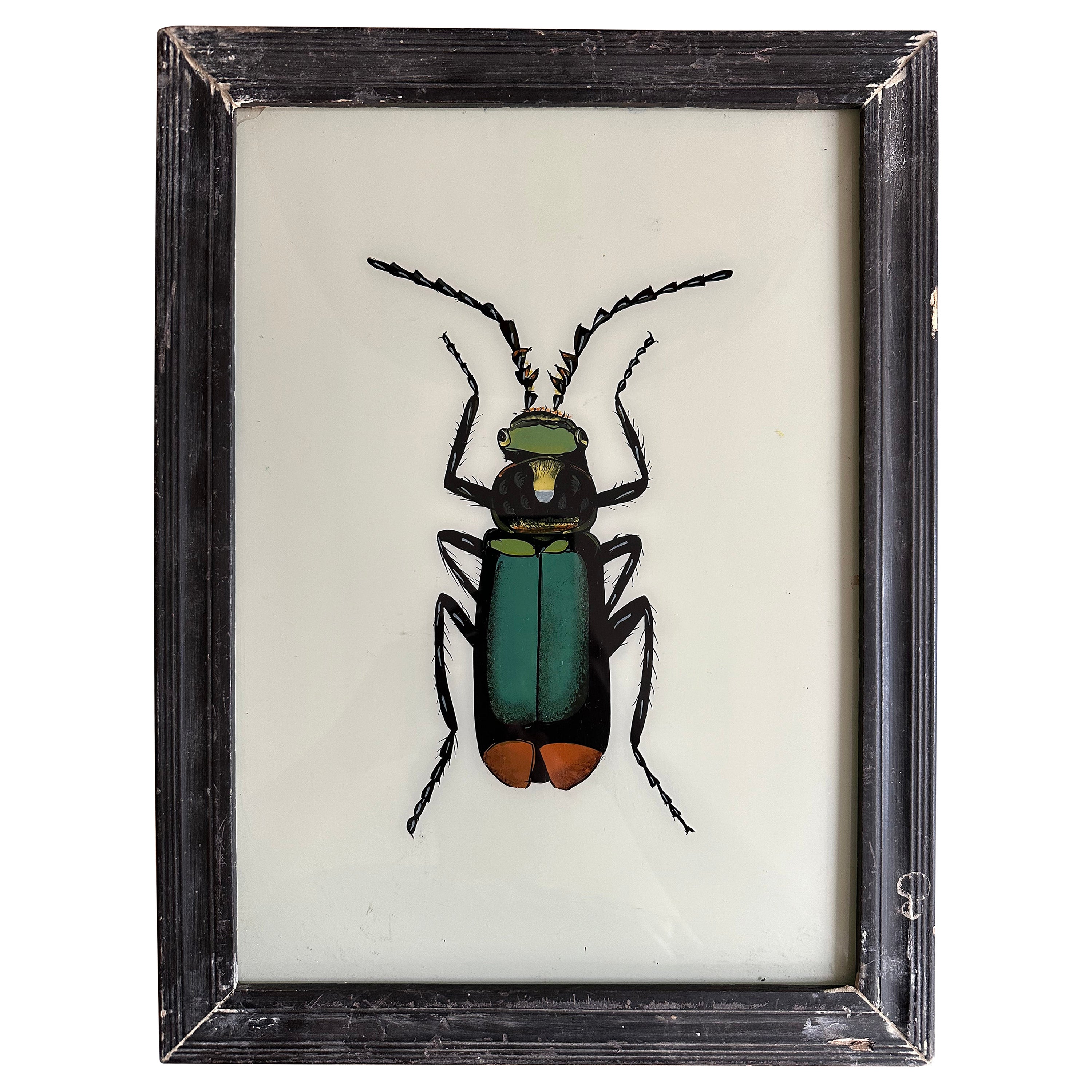 „19th-Century Large Bug Illustration: Intricate Entomological Art“ im Angebot