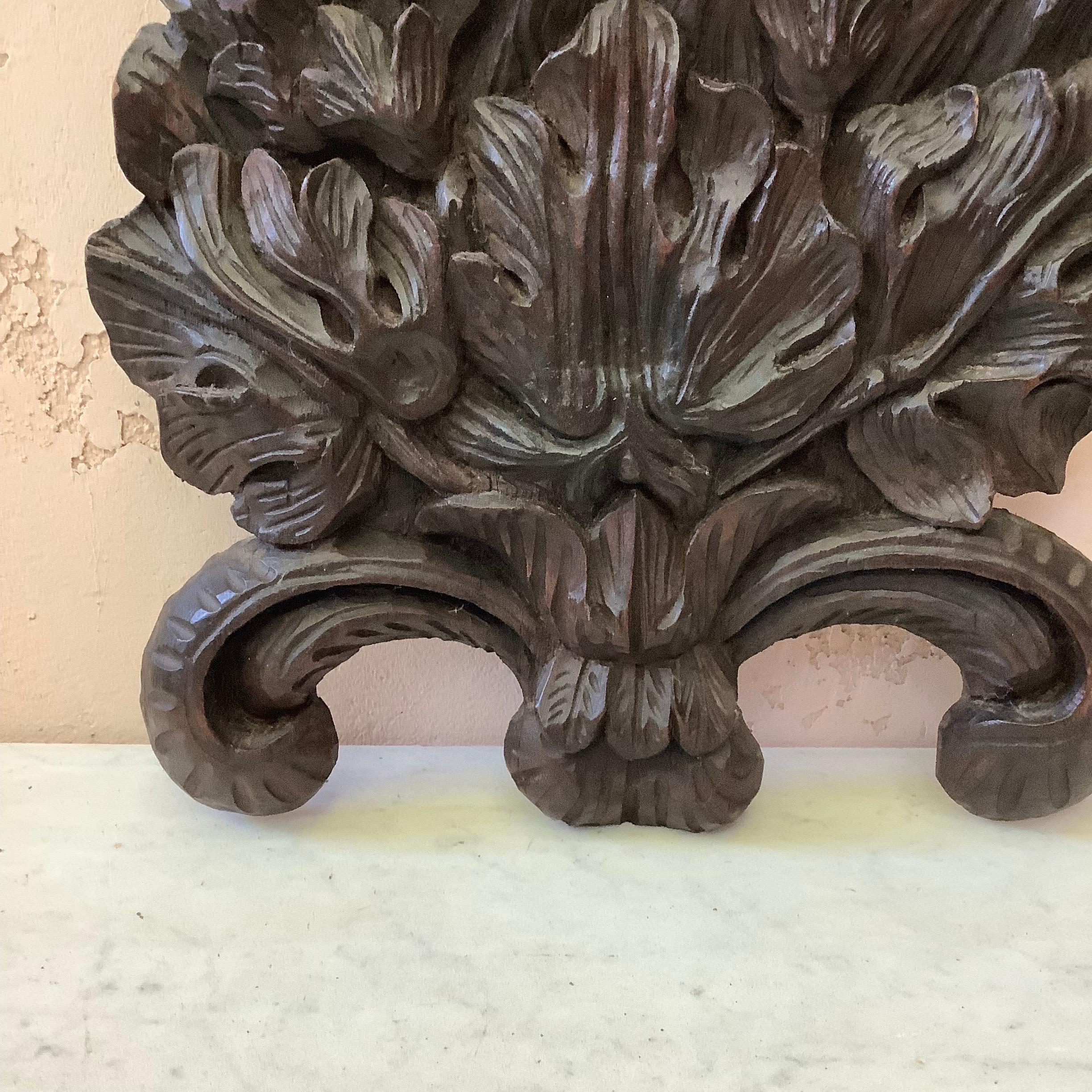 Français Grande plaque en bois sculpté du XIXe siècle représentant des feuilles et des roseaux en vente