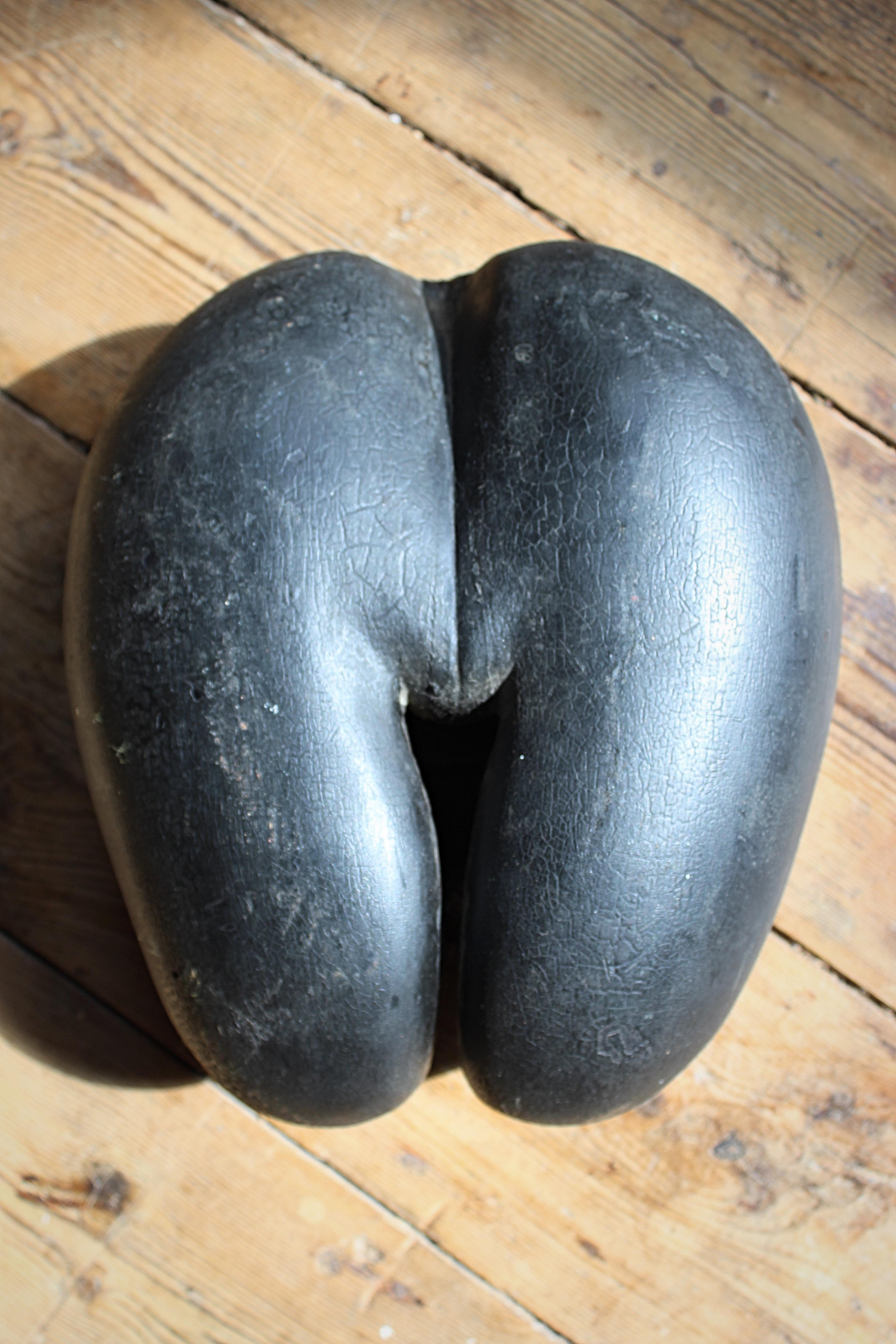 19th Century Large Coco De Mer Tropical Sea Nut, Lodoicea Maldivica 3