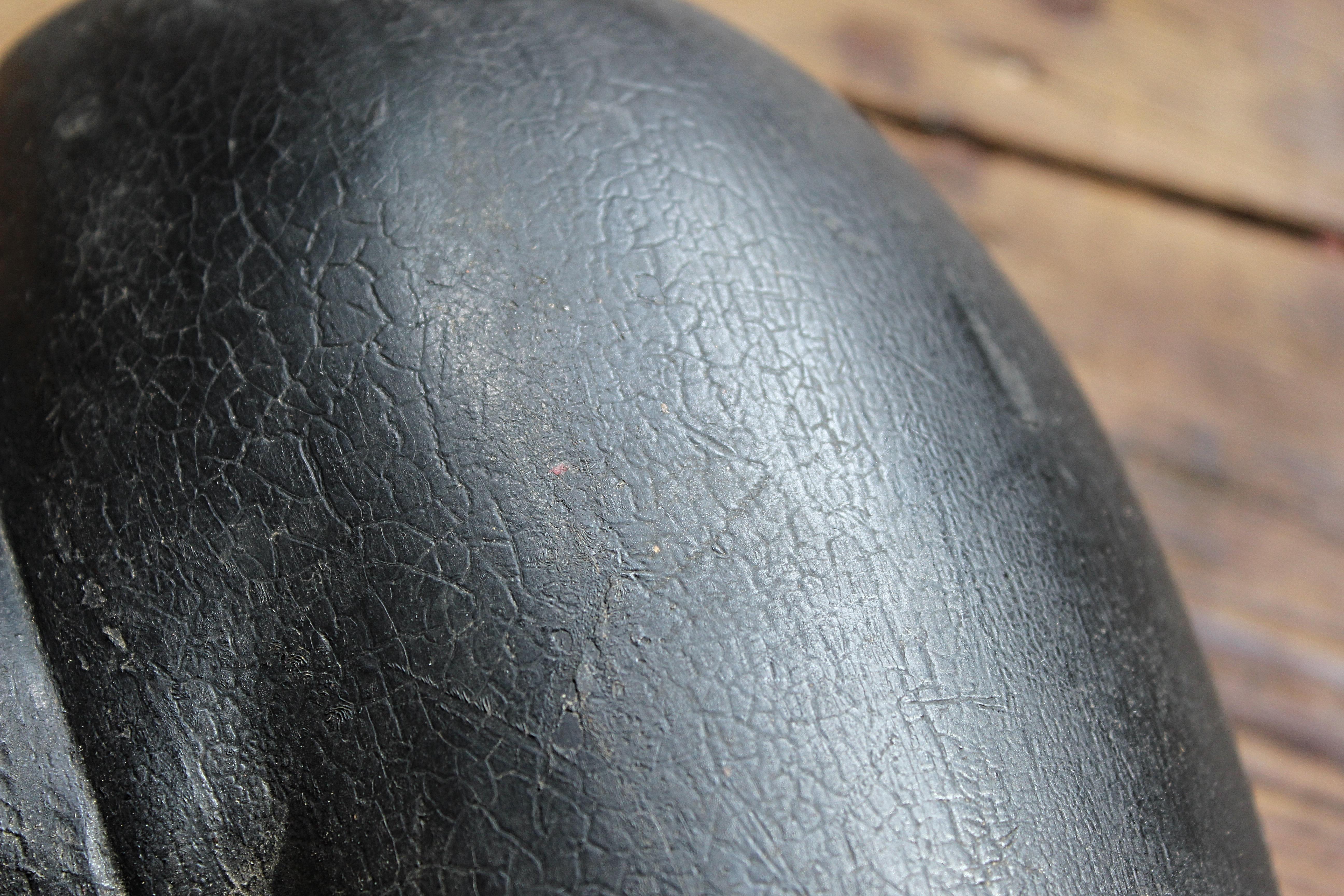 lodoicea seed