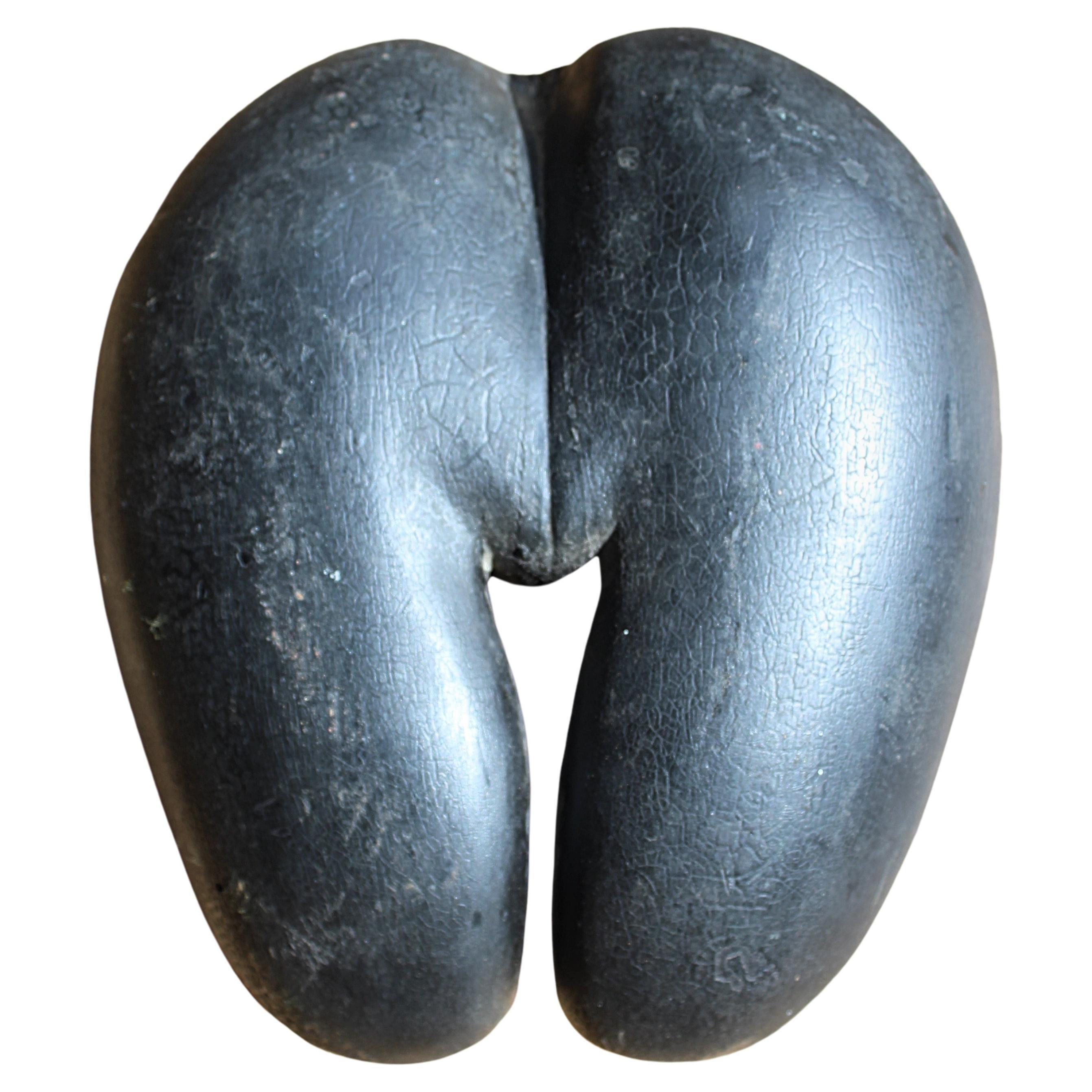 19th Century Large Coco De Mer Tropical Sea Nut, Lodoicea Maldivica