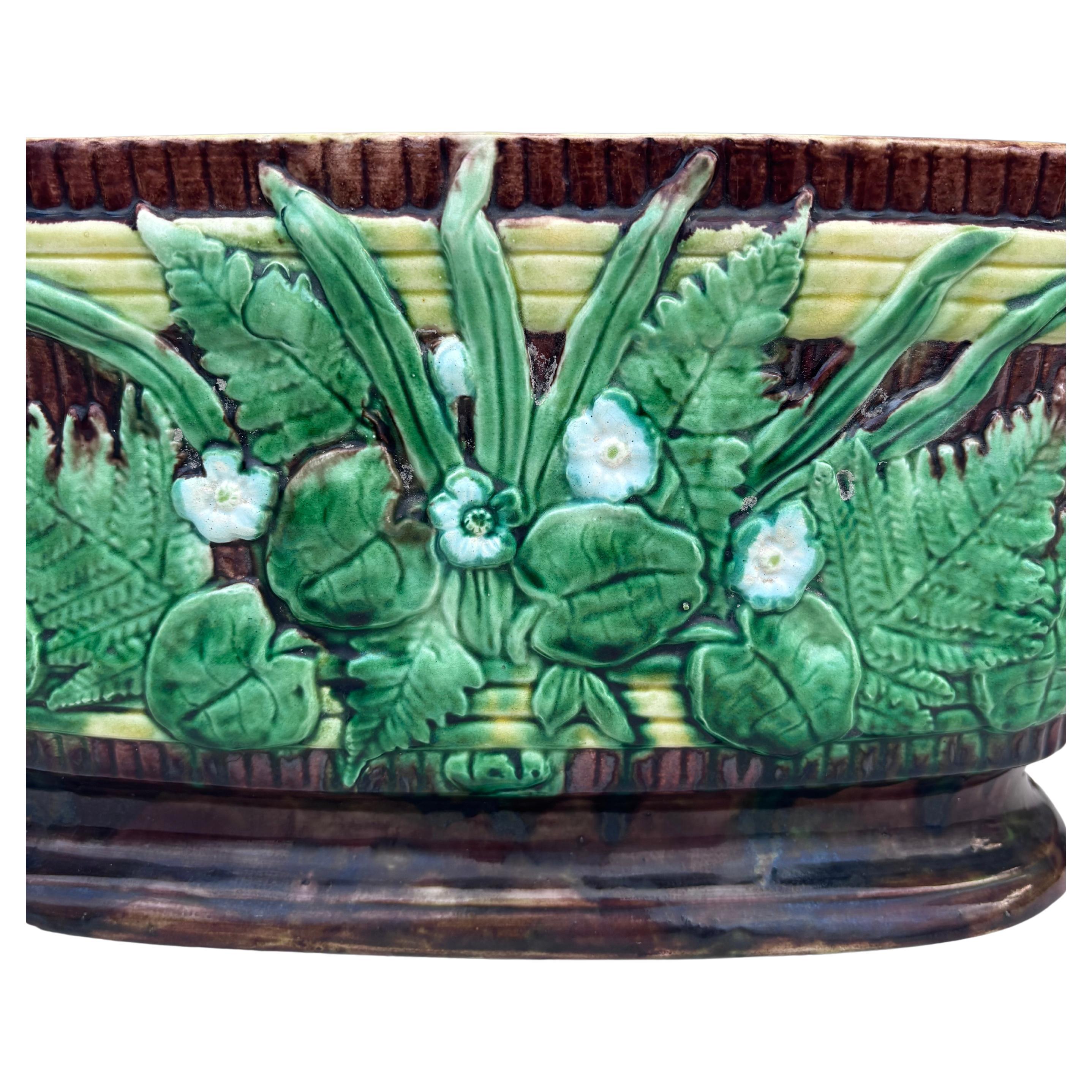 Jardiniere inglese del XIX secolo con foglie e fiori bianchi.
15,5 per 7,5 pollici.
H. H. / 7 pollici.