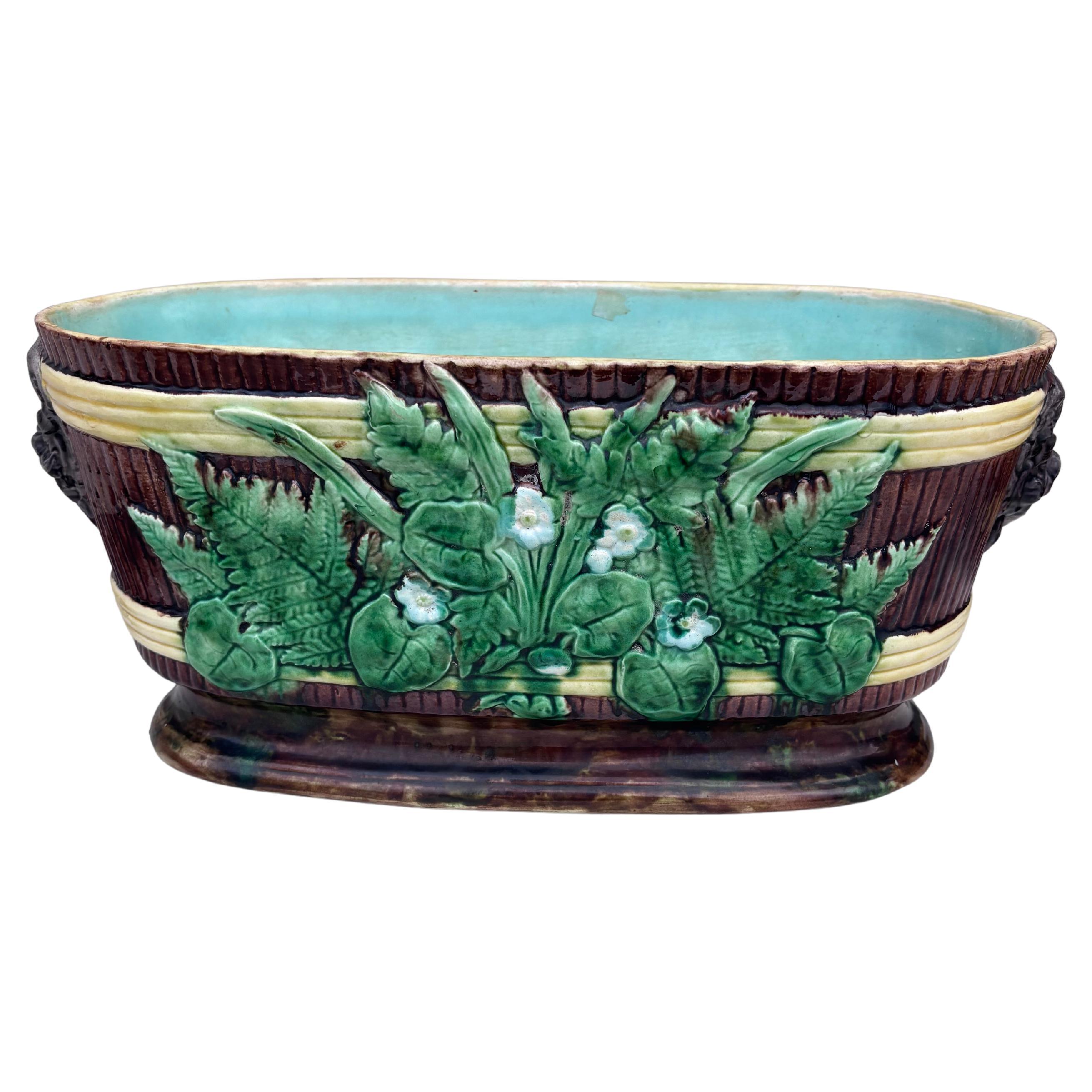 Ceramica Jardiniere inglese del XIX secolo con foglie e fiori bianchi di grandi dimensioni in vendita