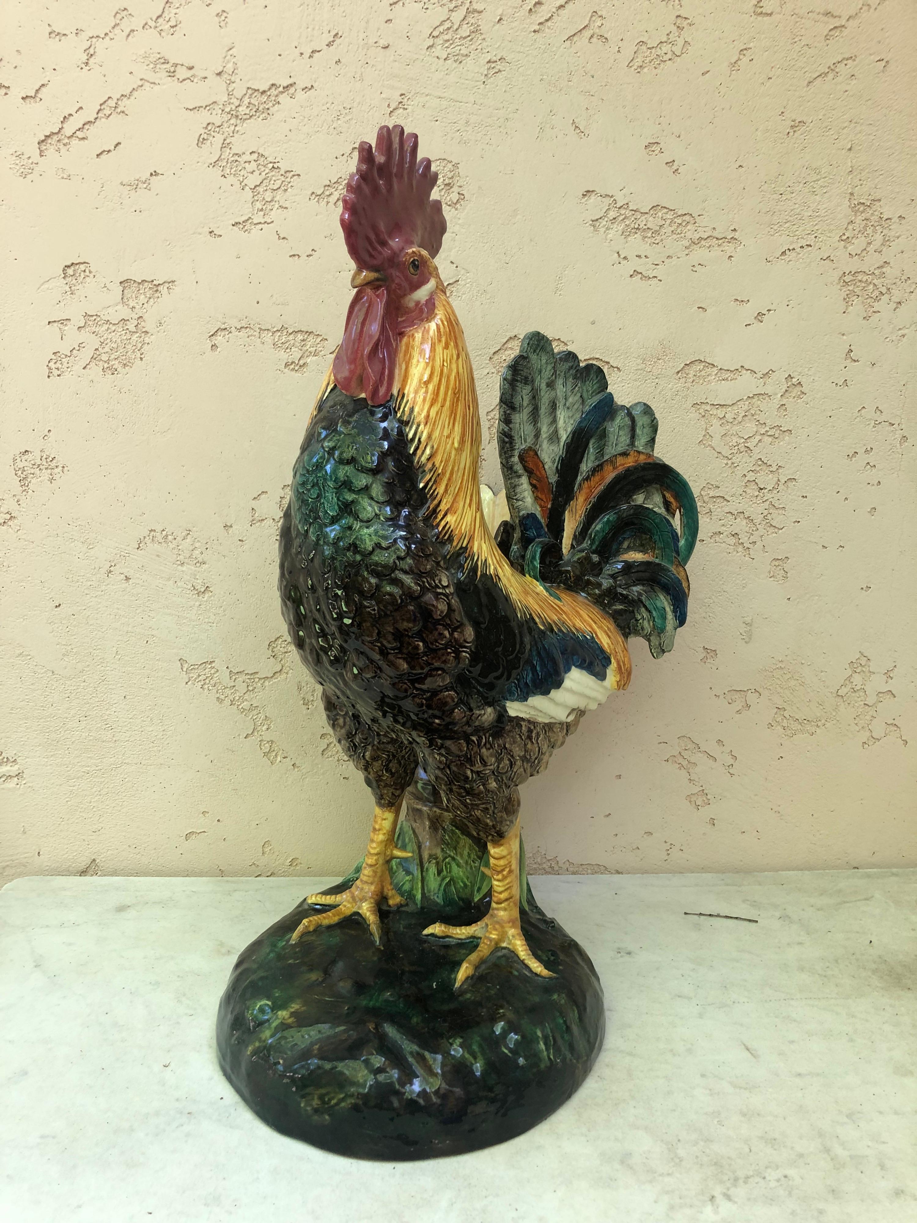 Grande gallo colorato in maiolica firmato Delphin Massier, circa 1890.
Sulla schiena del gallo, un raro vaso di bambù marrone, di solito il vaso è un tronco.