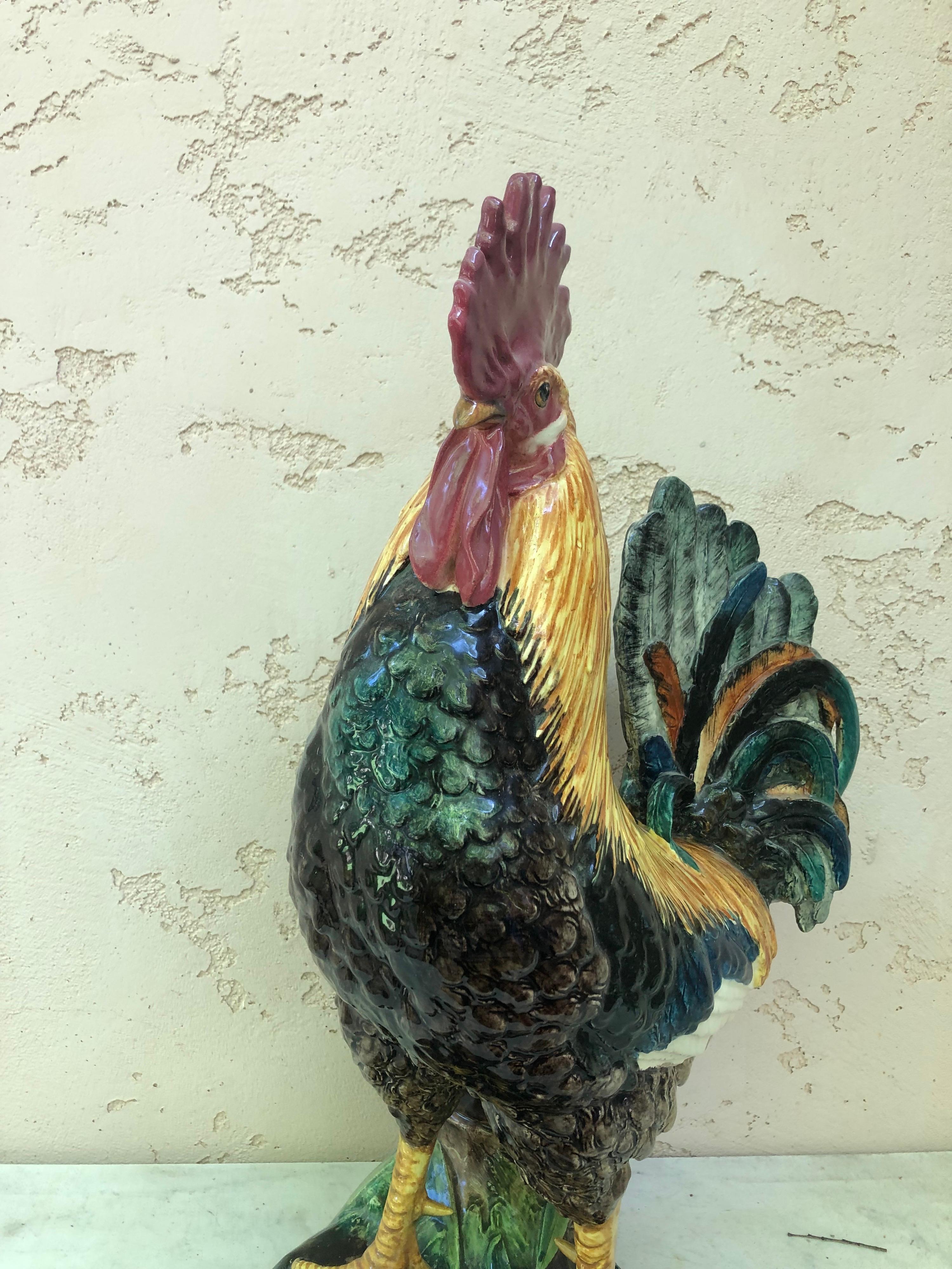 Majolica Grande gallo in maiolica del XIX secolo con vaso di bambù Delphin Massier in vendita
