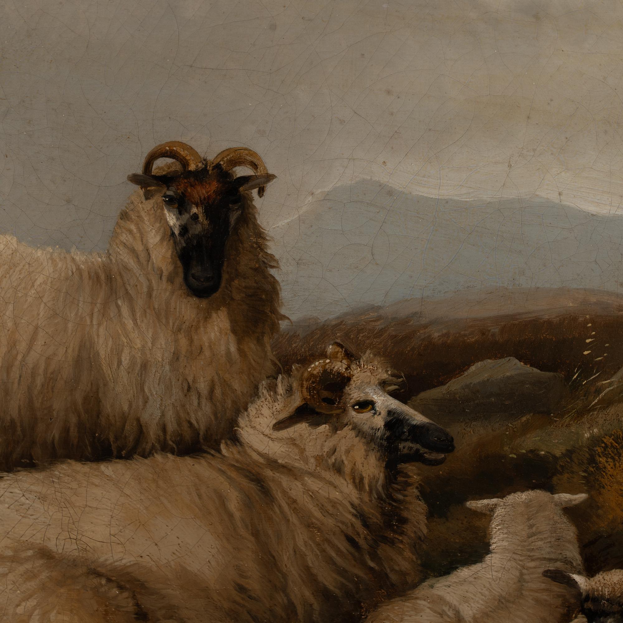 19th Century Large Oil on Canvas of Scottish Highland Sheep and Shepherd (Englisch) im Angebot