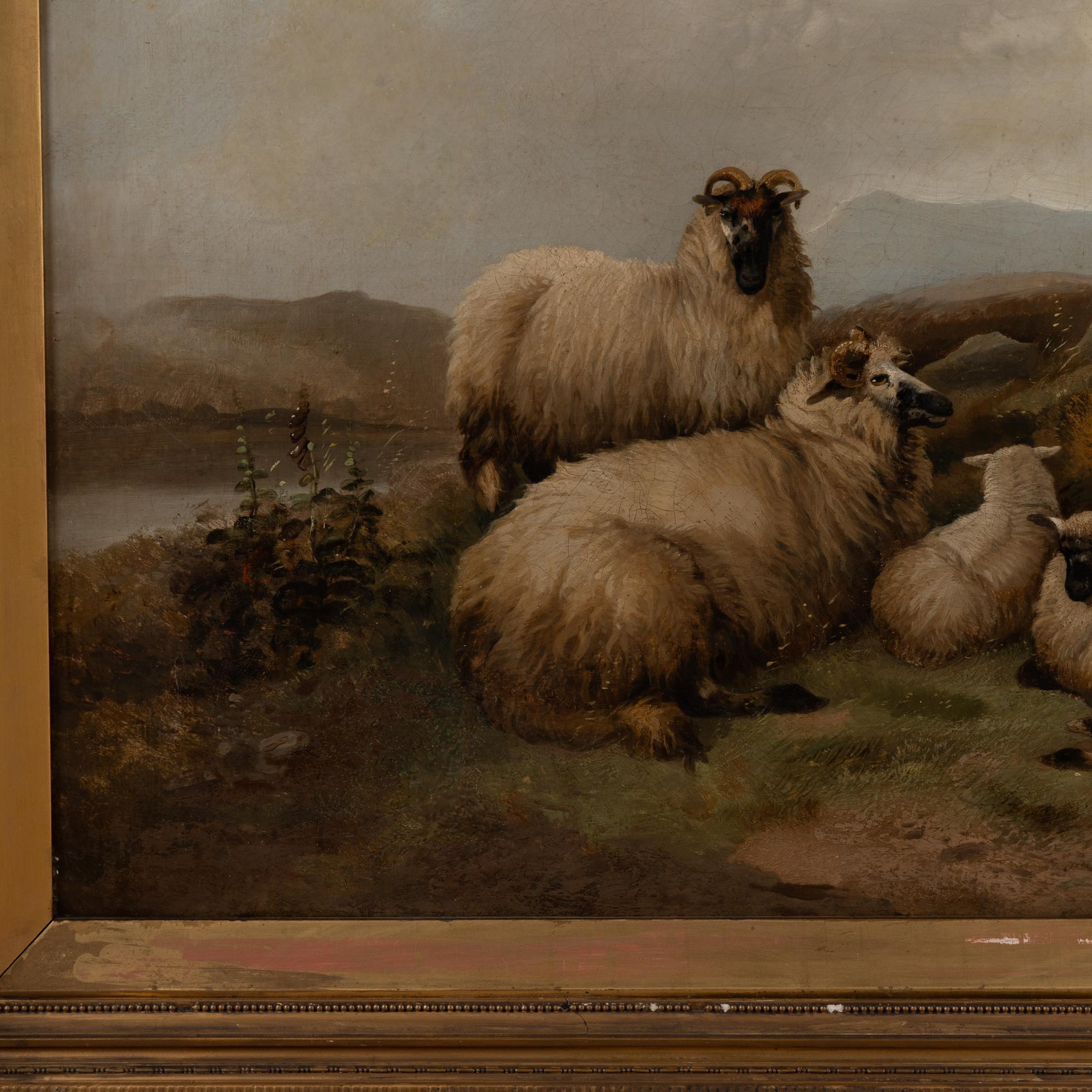 19th Century Large Oil on Canvas of Scottish Highland Sheep and Shepherd im Zustand „Relativ gut“ im Angebot in Round Top, TX