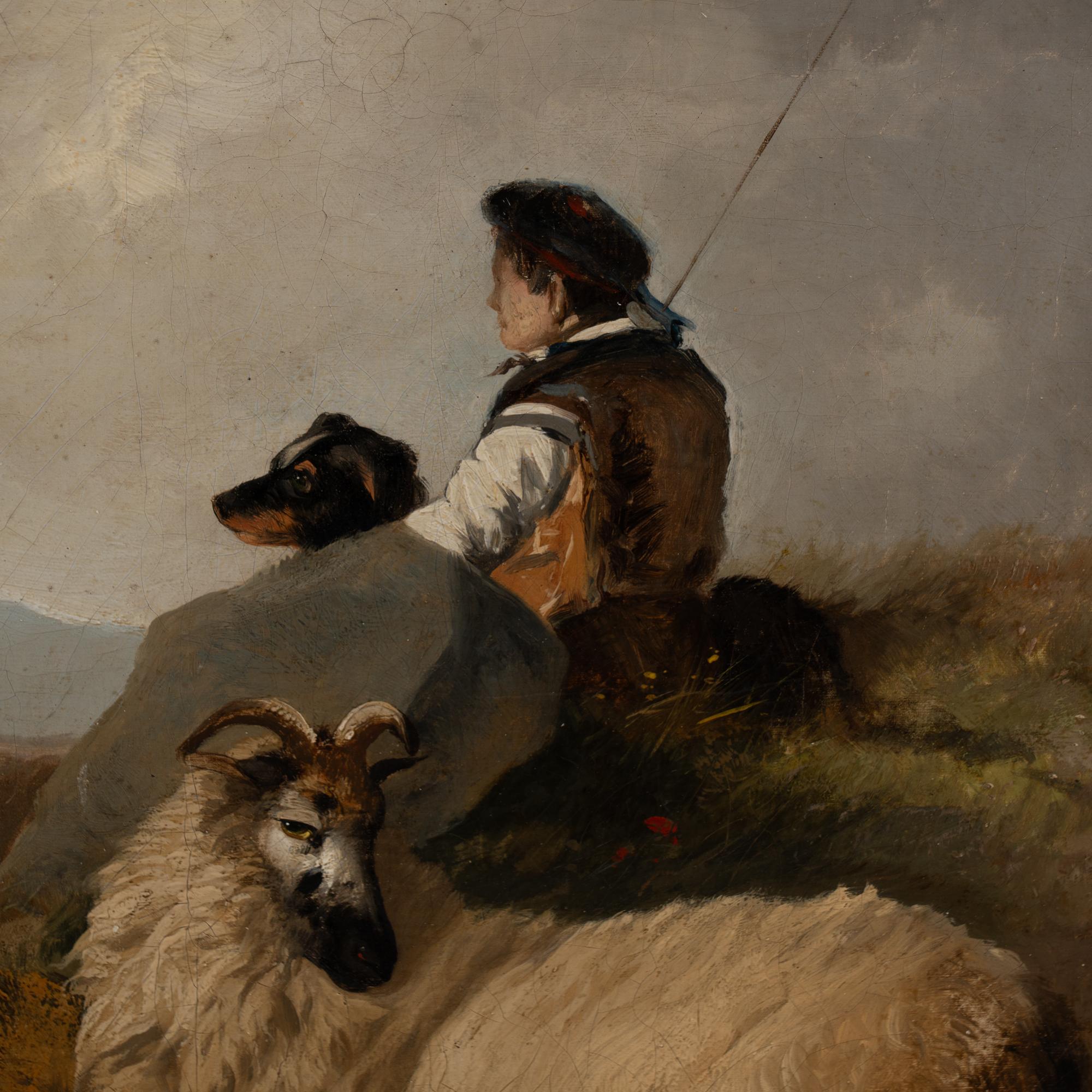 19th Century Large Oil on Canvas of Scottish Highland Sheep and Shepherd (Leinwand) im Angebot