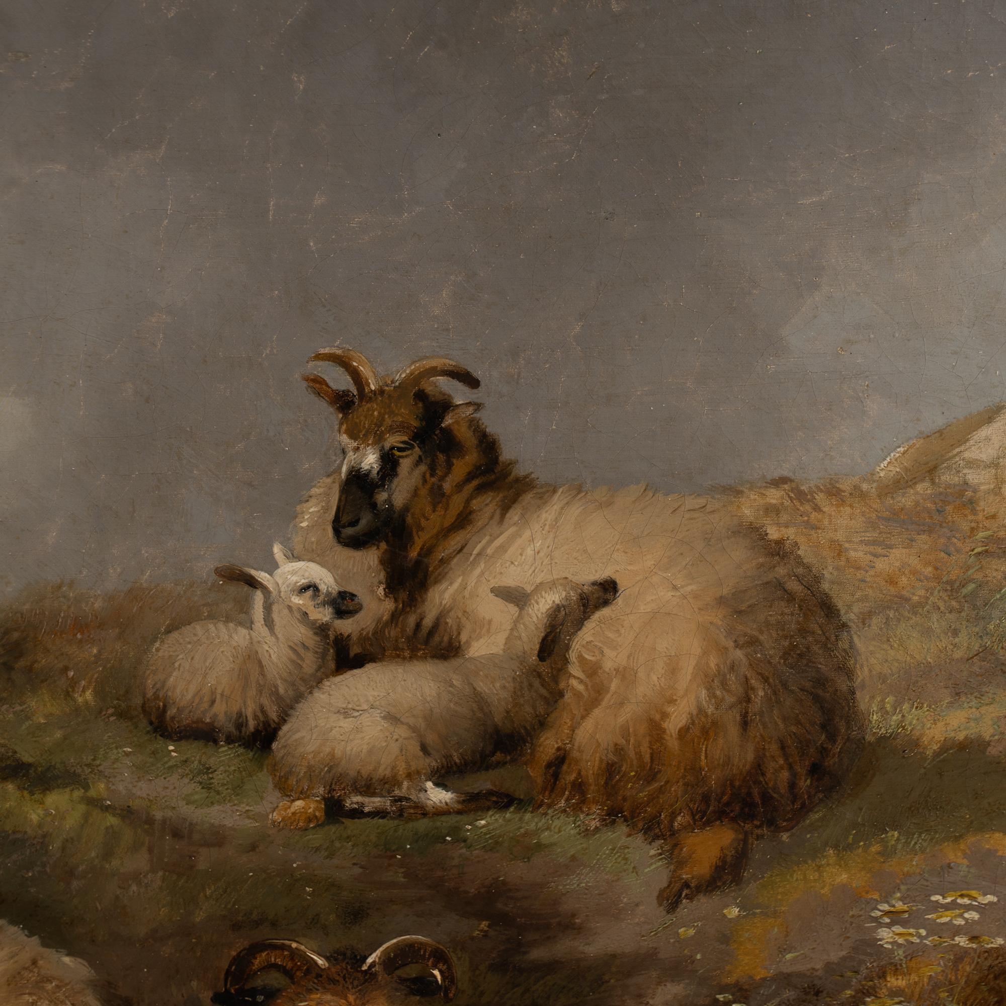 19th Century Large Oil on Canvas of Scottish Highland Sheep and Shepherd im Angebot 1