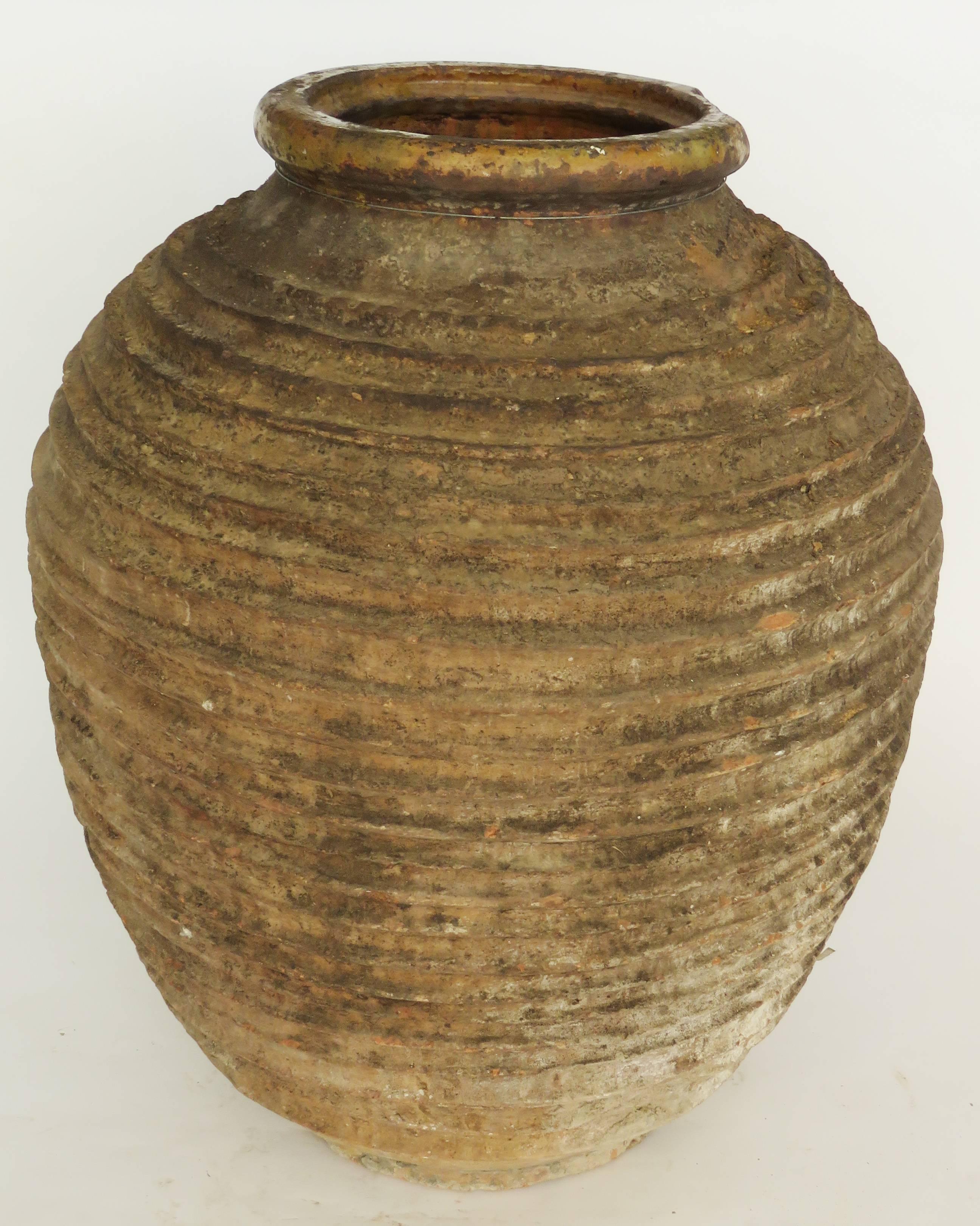 Glazed 19th Century Large Ribbed Terracotta Jar For Sale