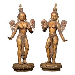 19th century Large set of antique bronze Nepalese Green Tara statues from Nepal