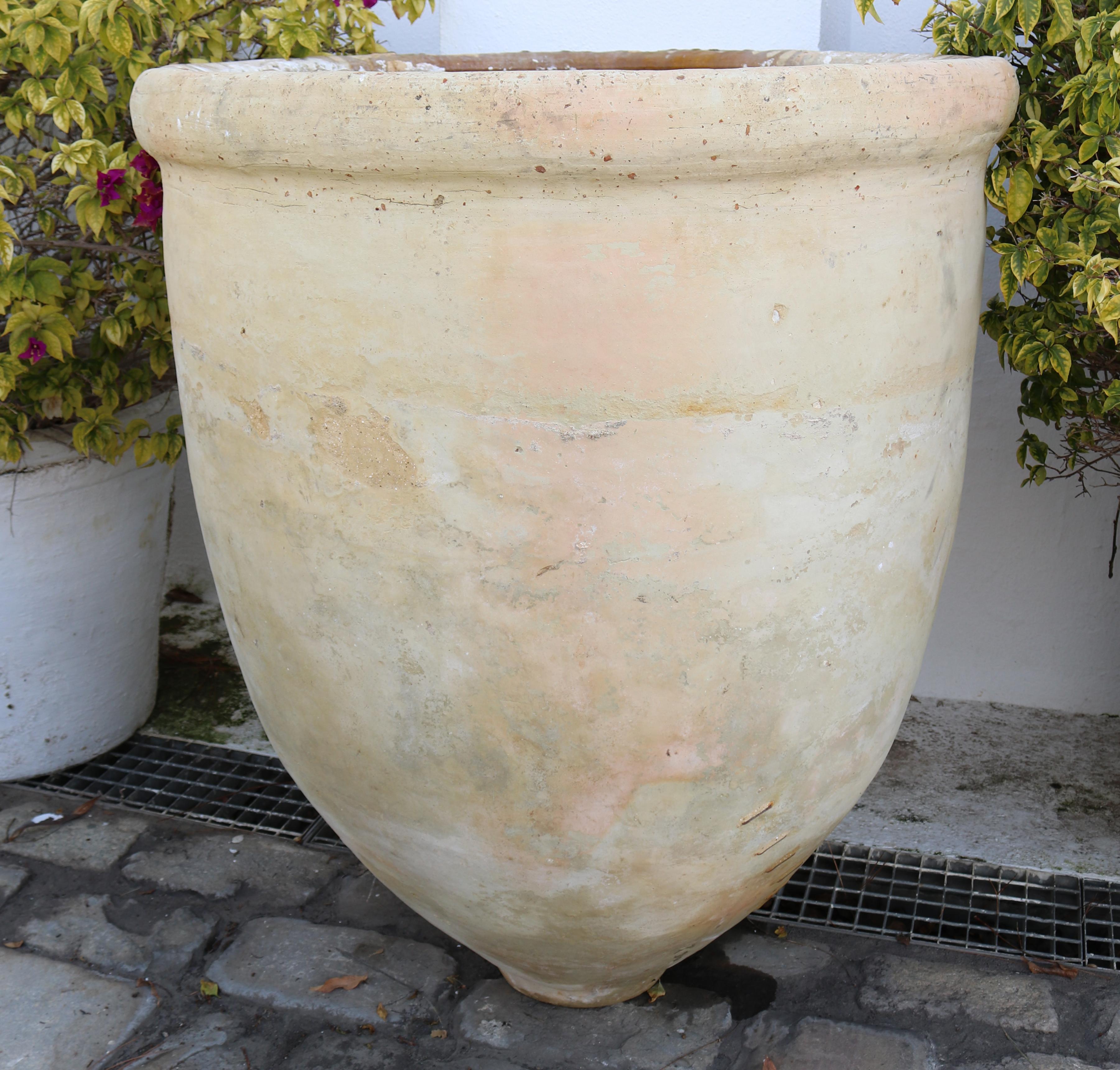 19th century large Spanish Andalusian terracotta vase.