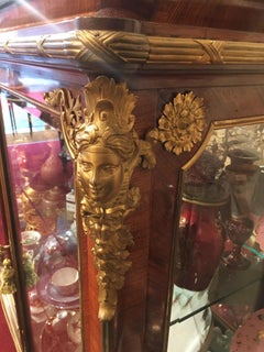 19th Century Large Vitrines