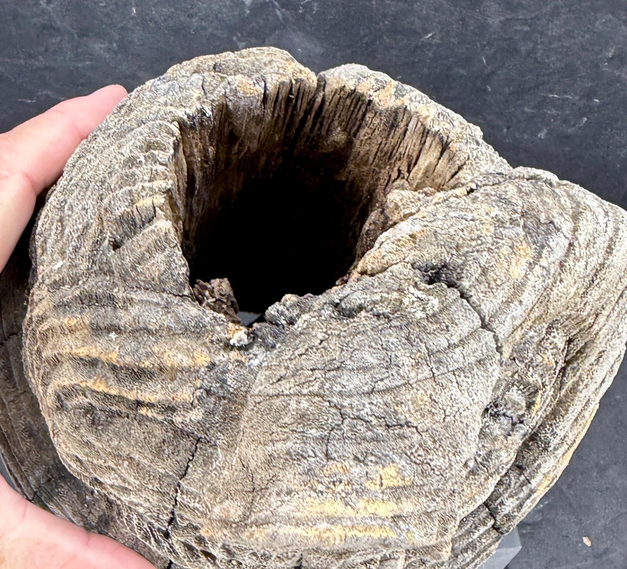 Gran escultura de madera del siglo XIX con cabeza de Buda en venta 7