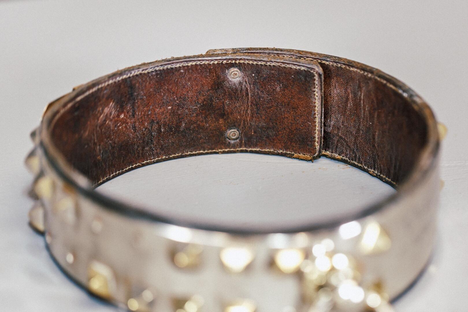 19th Century Leather and Brass Dog Collar 3