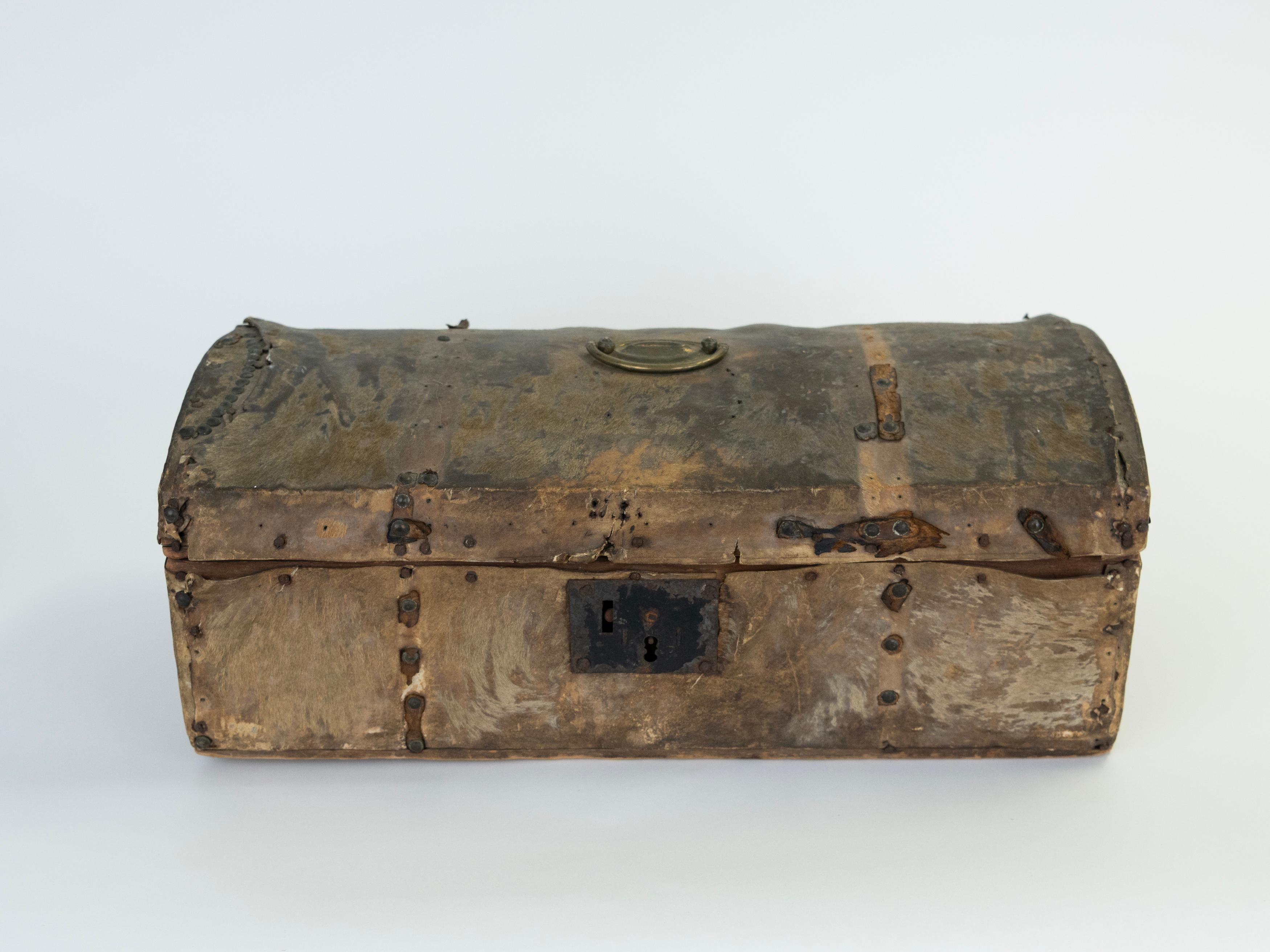 Argentine 19th Century Leather Hide Trunk/Box found in the Frontier of Argentina For Sale