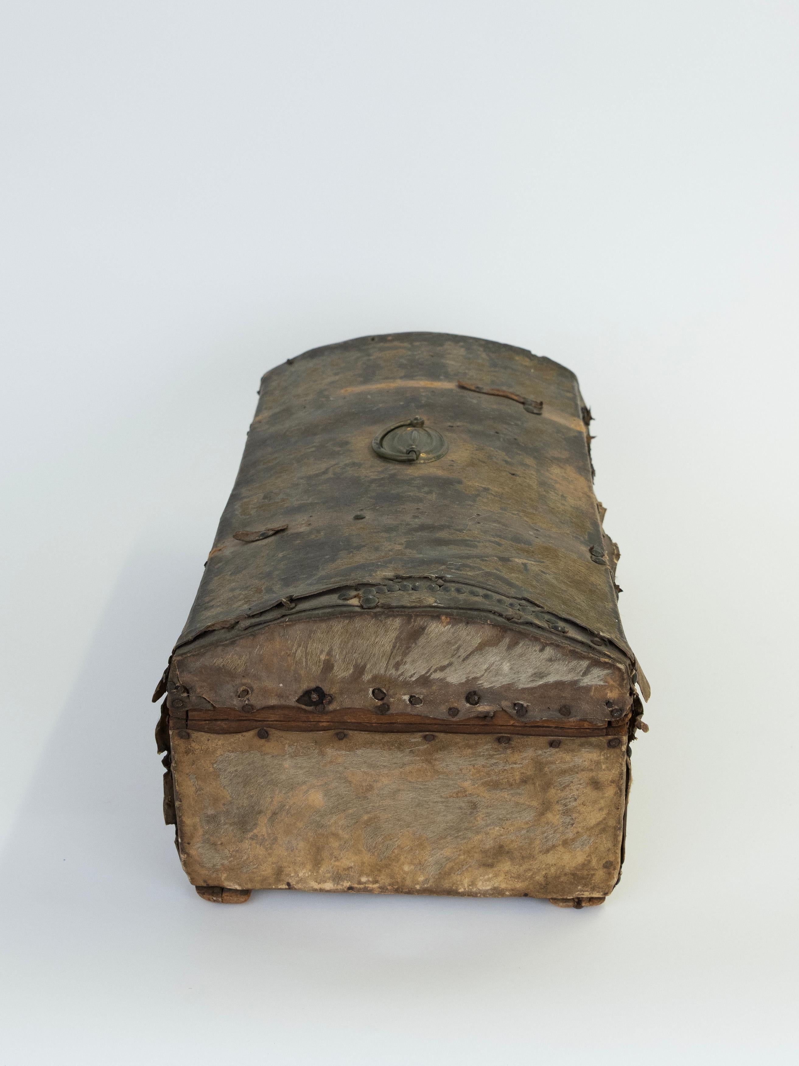 19th Century Leather Hide Trunk/Box found in the Frontier of Argentina For Sale 1