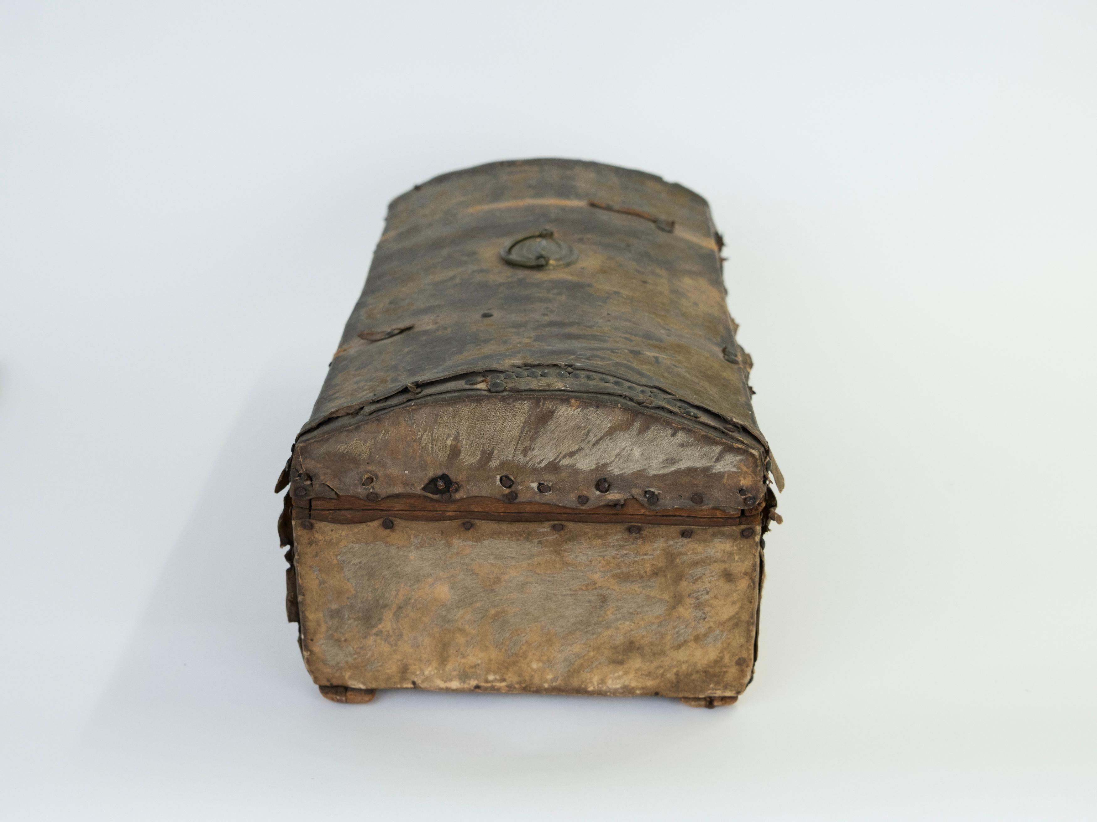 19th Century Leather Hide Trunk/Box found in the Frontier of Argentina For Sale 2