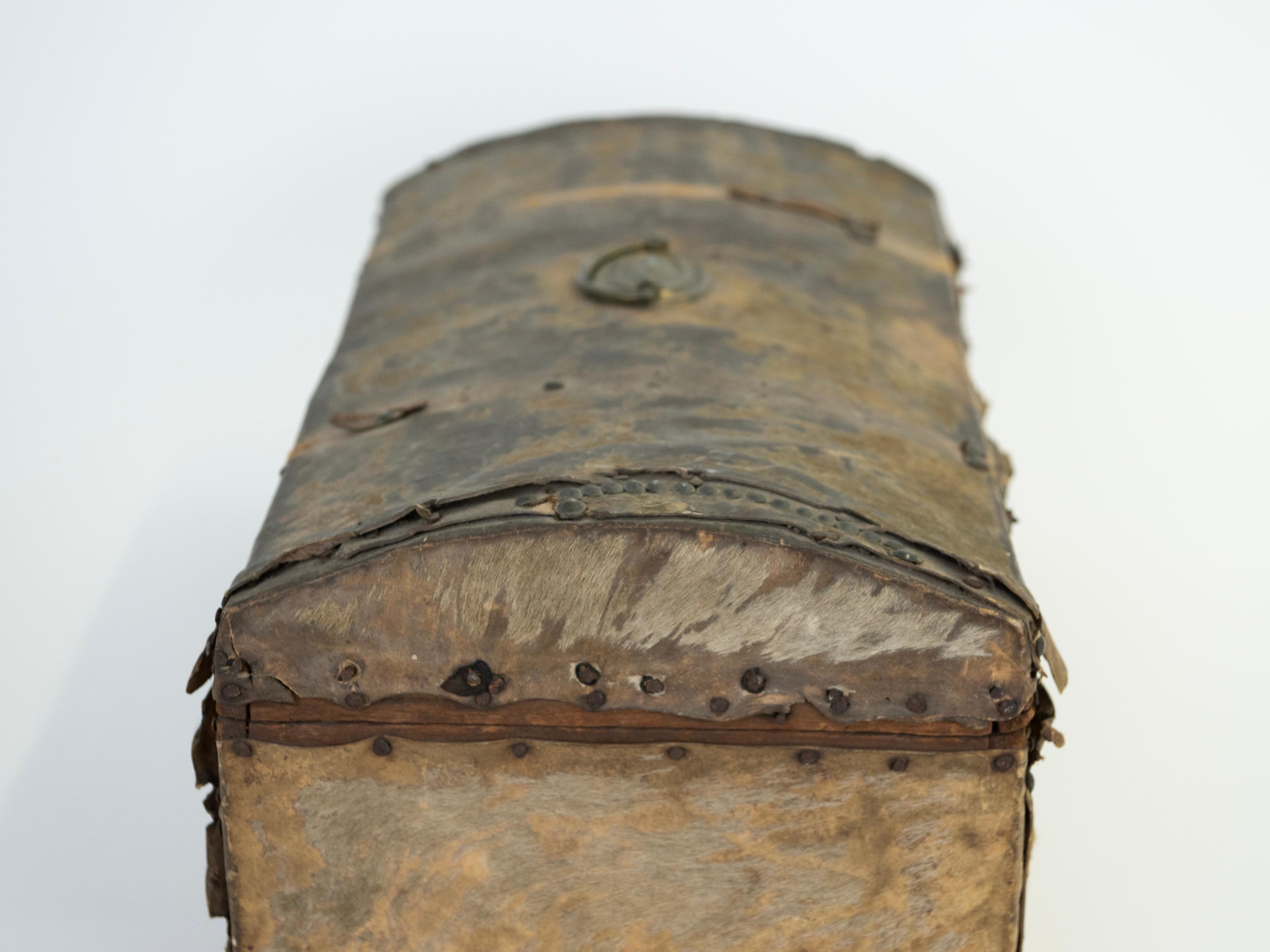 19th Century Leather Hide Trunk/Box found in the Frontier of Argentina For Sale 3
