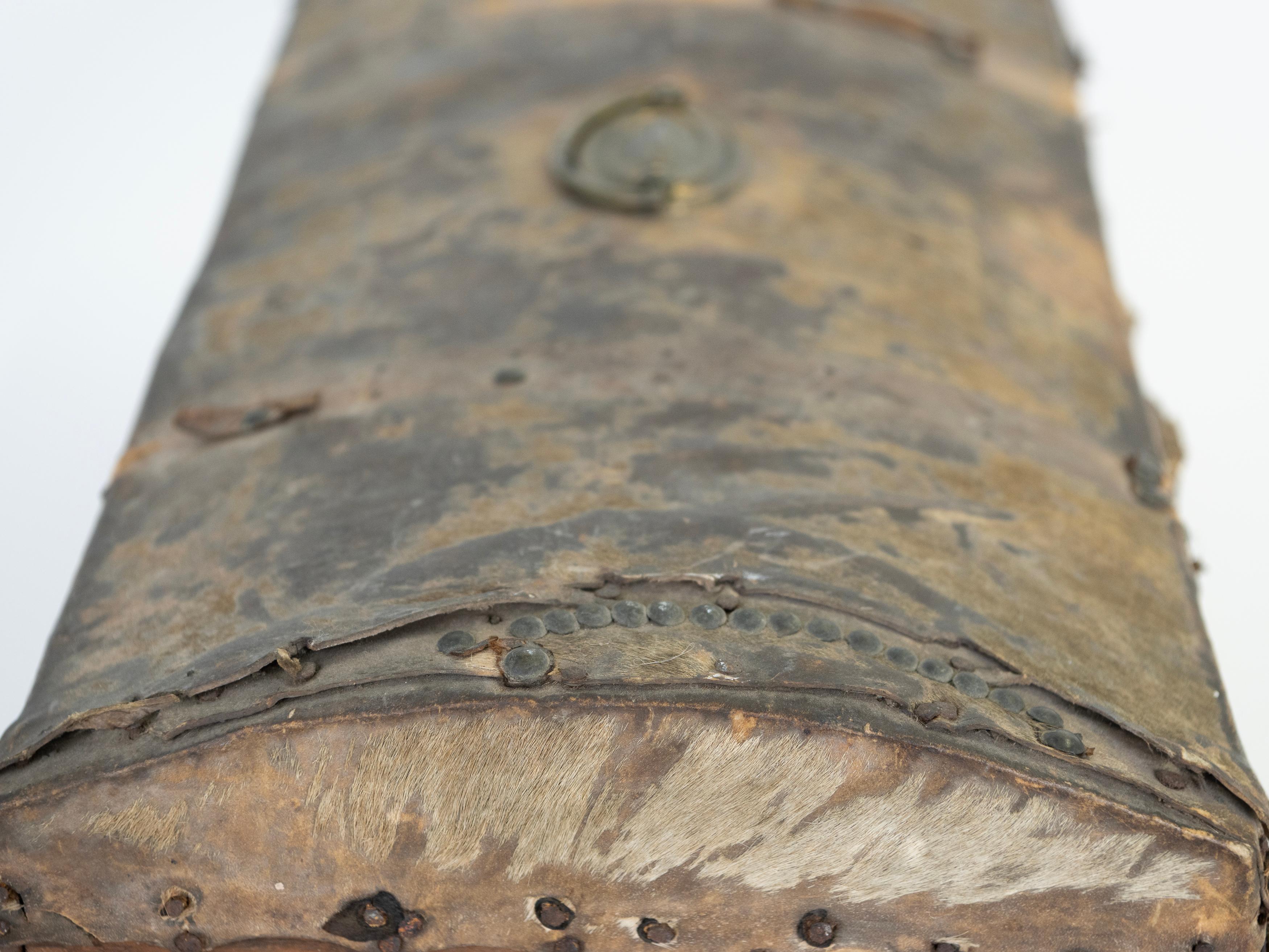 19th Century Leather Hide Trunk/Box found in the Frontier of Argentina For Sale 4