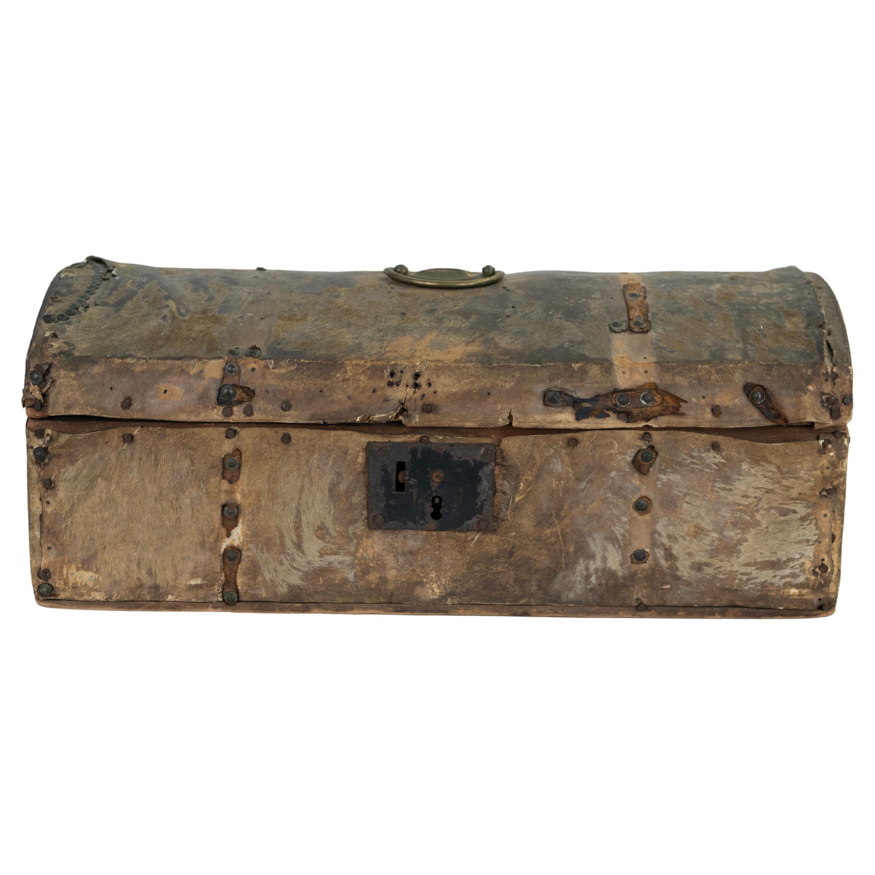 19th Century Leather Hide Trunk/Box found in the Frontier of Argentina For Sale
