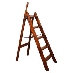 Antique 19th Century Library Ladder