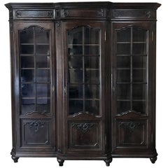 19th Century Liegeoise Step-Front Bookcase, Vitrine