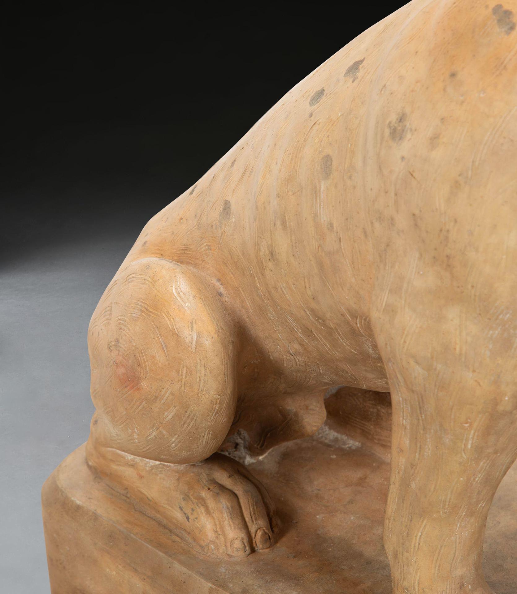 Cane di terracotta a grandezza naturale del XIX secolo in vendita 1