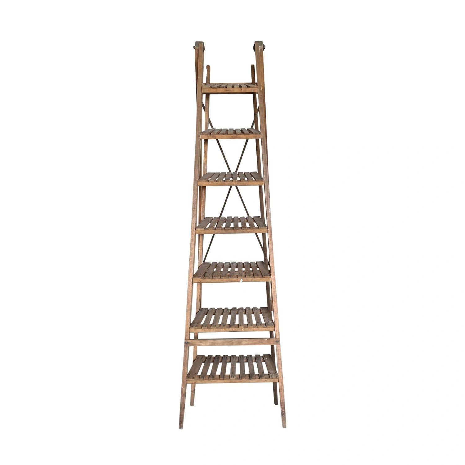 Italian 19th Century Light-Brown French Walnut Library Ladder, Antique Book Shelf For Sale