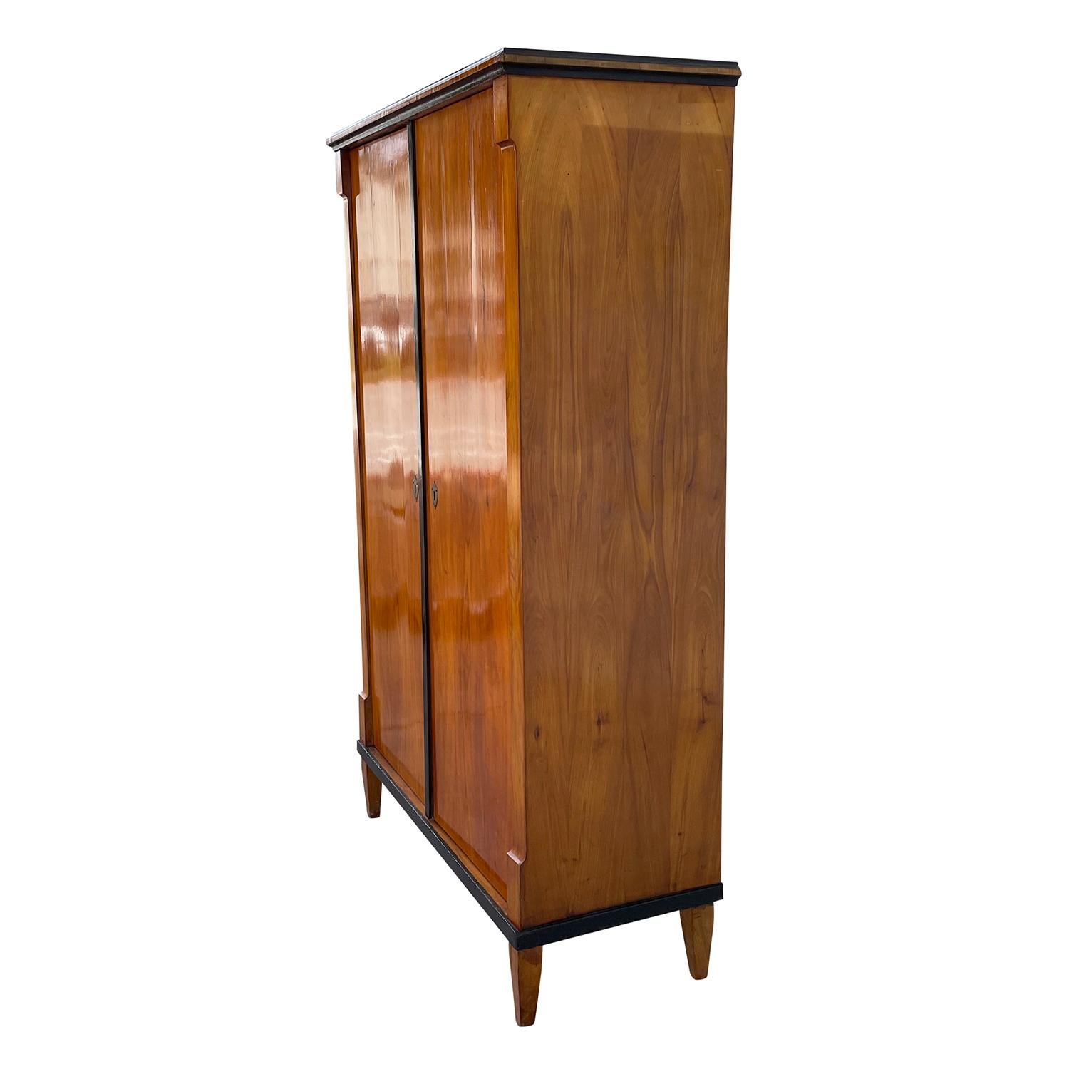 19th Century German Biedermeier Mahogany Cabinet - Antique Walnut Cupboard In Good Condition For Sale In West Palm Beach, FL
