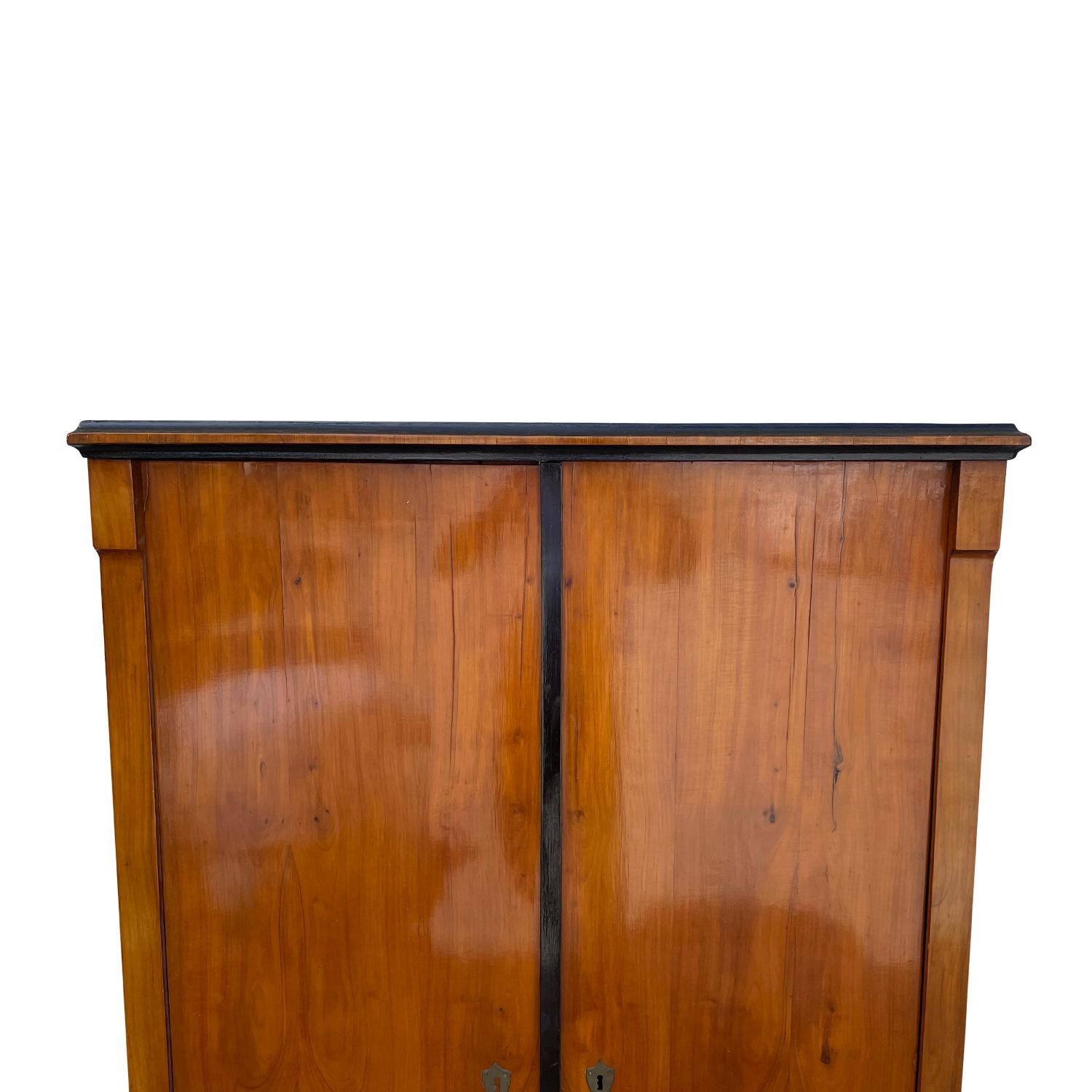 Métal Cabinet allemand Biedermeier en acajou du 19ème siècle - Antique Cupboard en noyer en vente