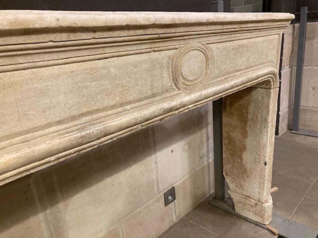 Carved 19th Century Limestone Fireplace For Sale
