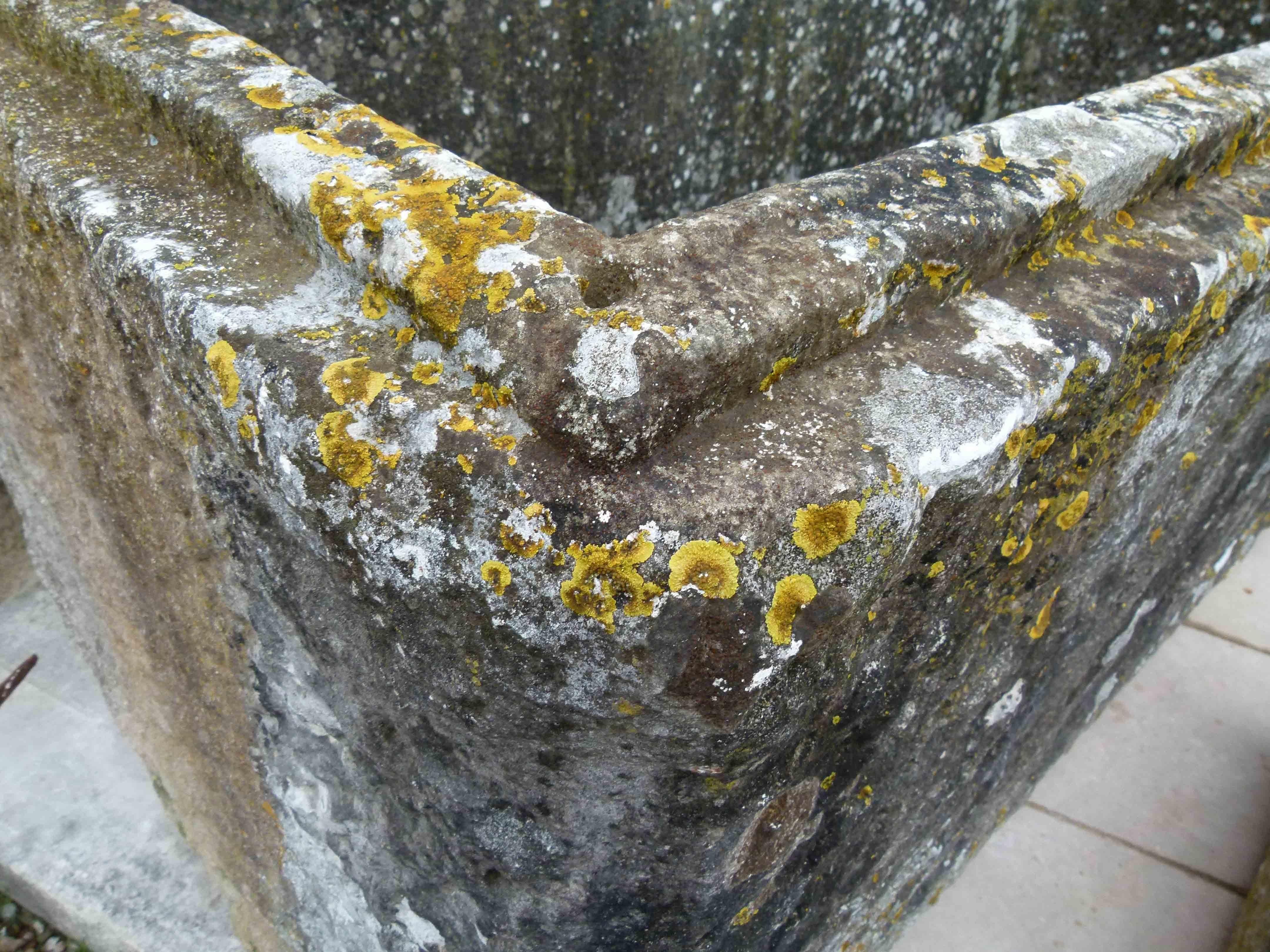 19th Century Limestone Fountain, Spain 5