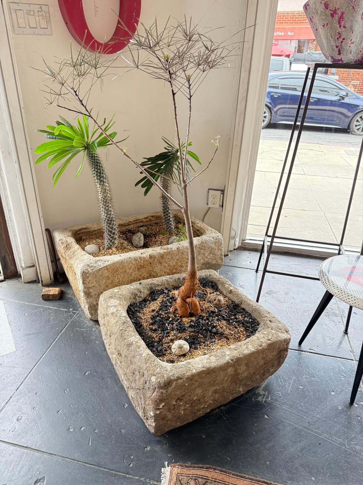 Beautiful 19th Century Limenstone Planter.