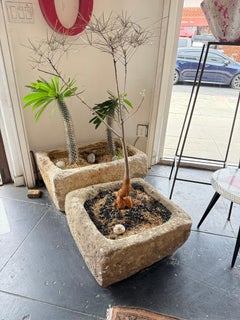 Fioriera in pietra calcarea del XIX secolo