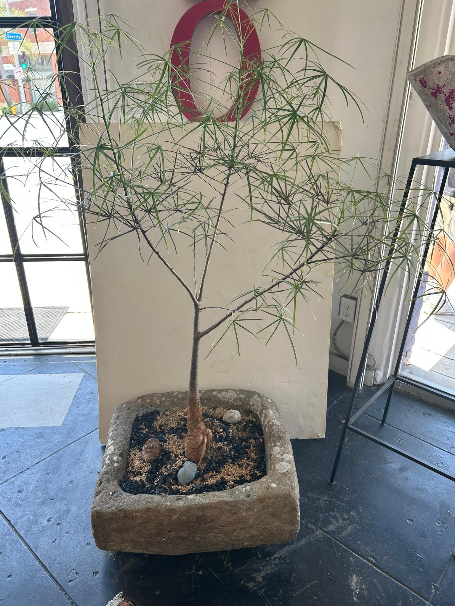 19th Century Limestone Planter In Good Condition For Sale In Los Angeles, CA