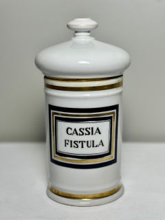 19th Century Limoges France Large Porcelain Apothecary Jar