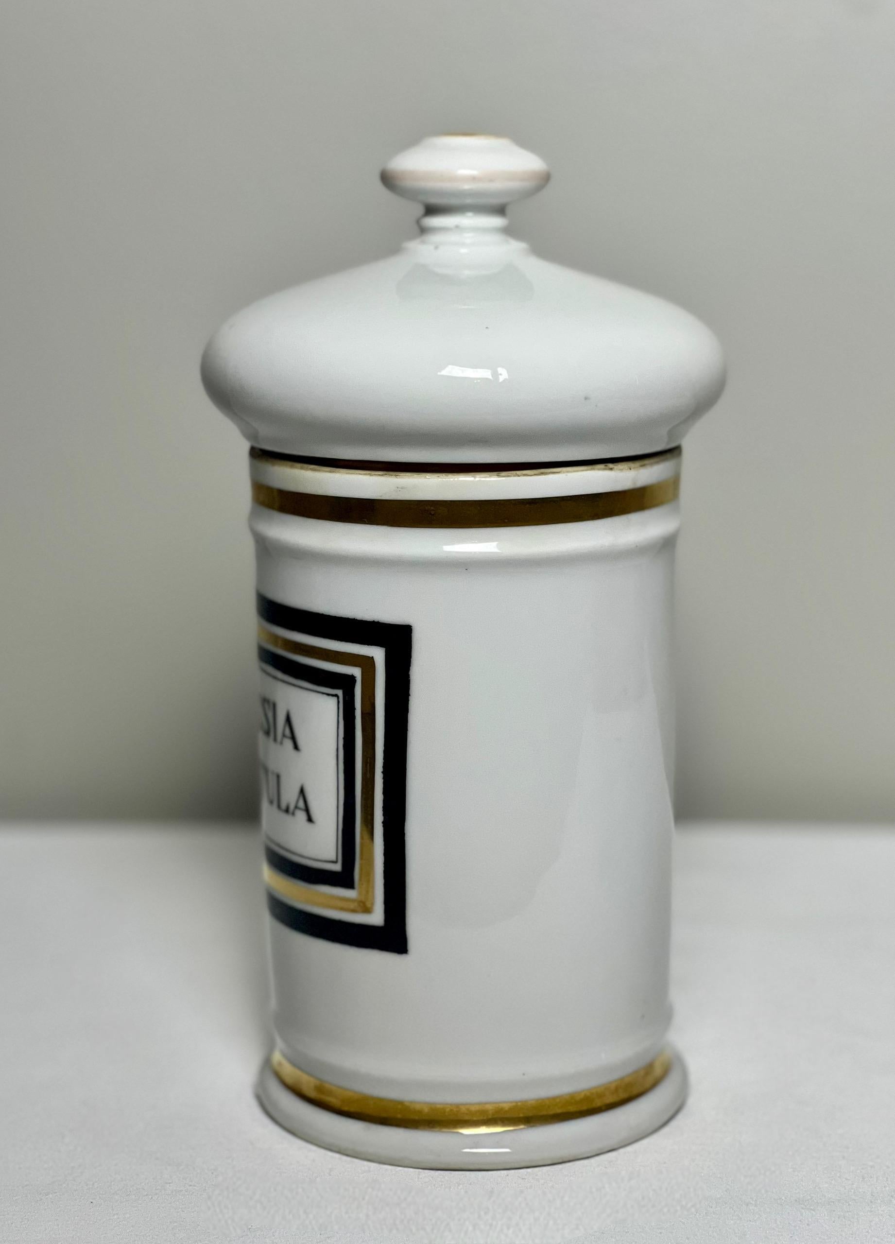 Francese Grande vaso da farmacia in porcellana di Limoges Francia del XIX secolo in vendita