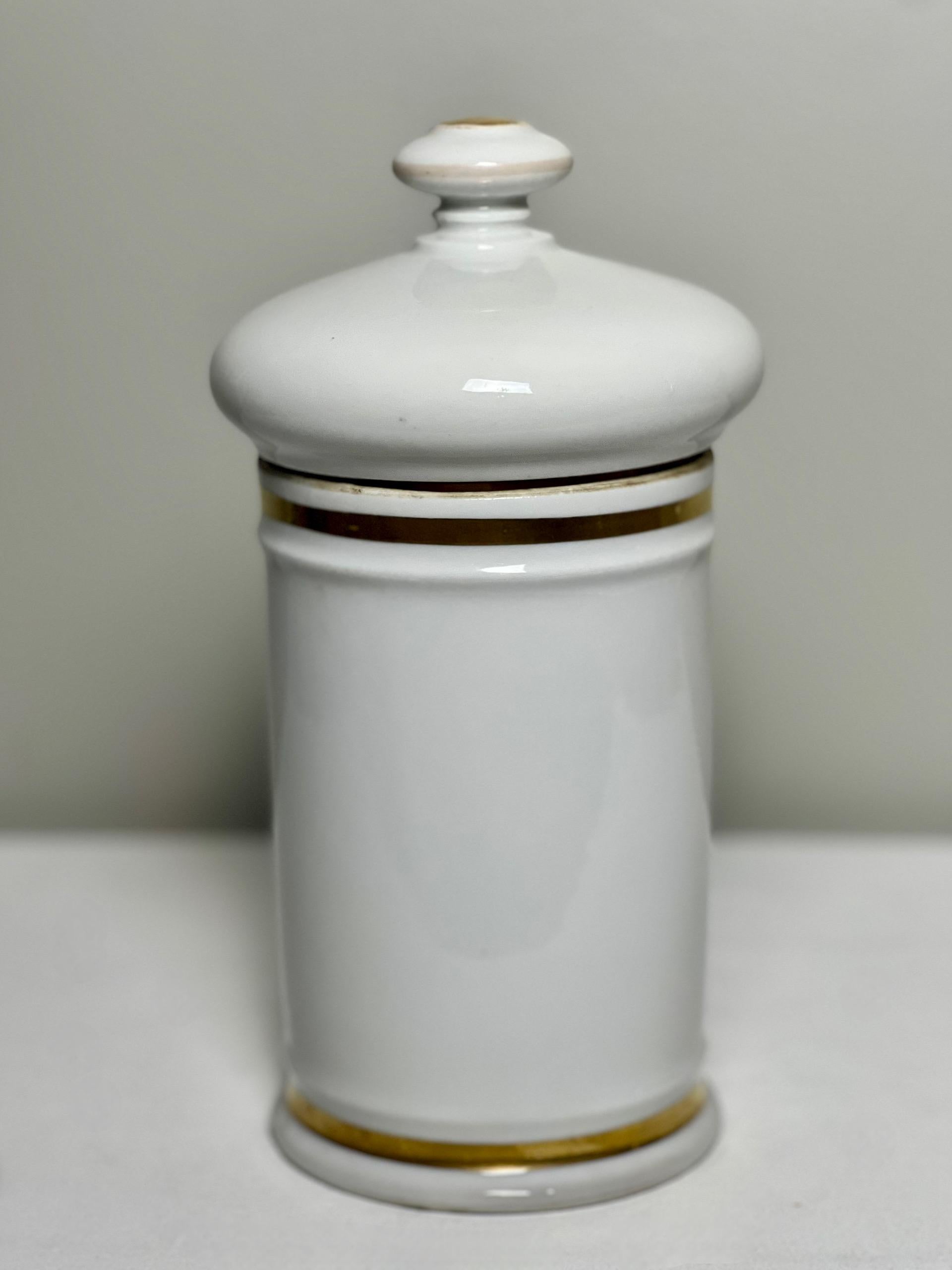 Dipinto a mano Grande vaso da farmacia in porcellana di Limoges Francia del XIX secolo in vendita