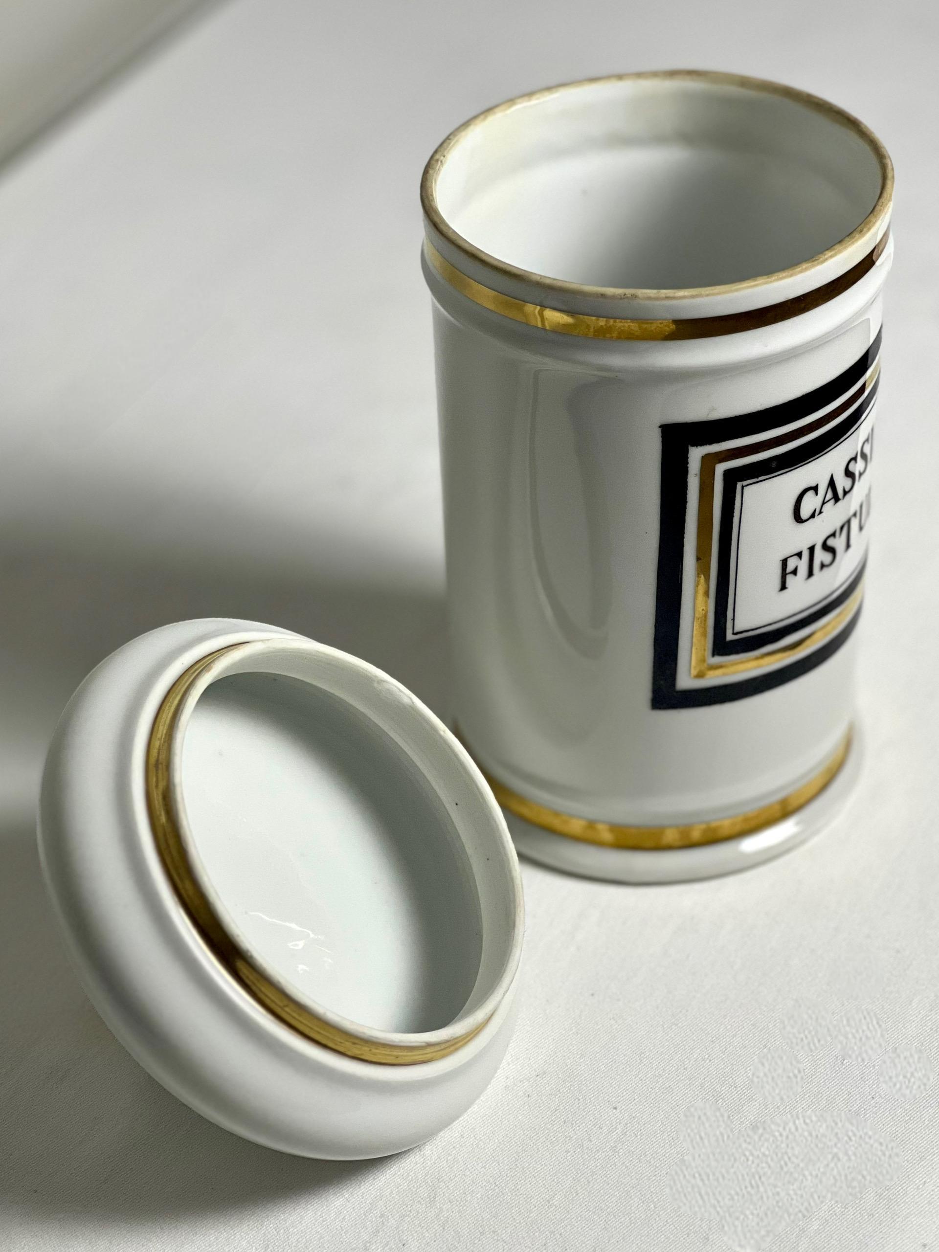 Pittura Grande vaso da farmacia in porcellana di Limoges Francia del XIX secolo in vendita