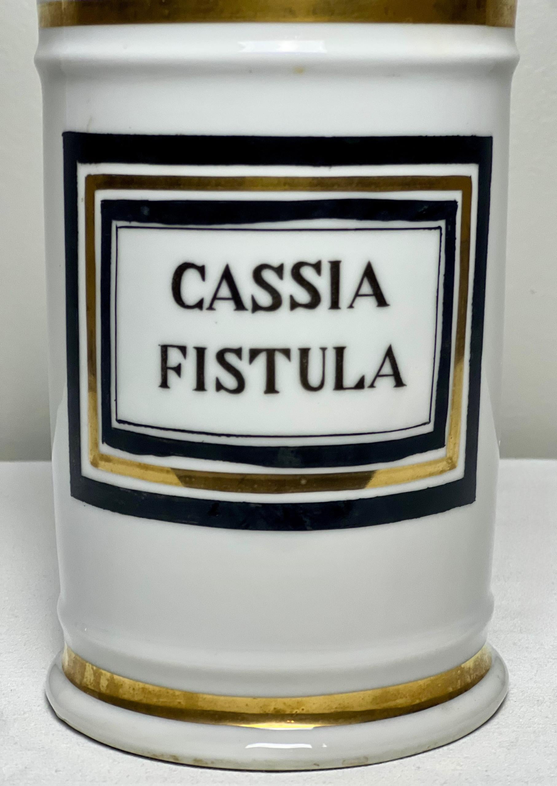 Grande vaso da farmacia in porcellana di Limoges Francia del XIX secolo in vendita 2