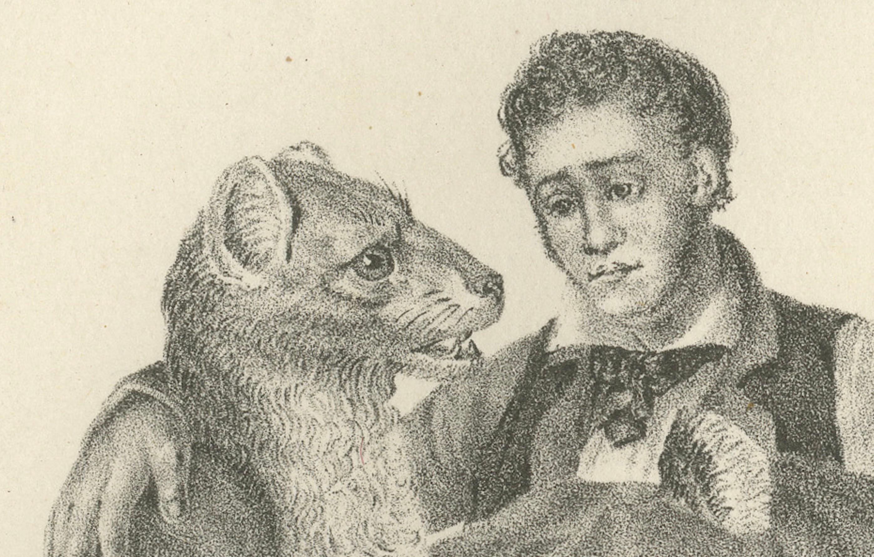 19th-Century Lithograph of a Lioness, Her Cubs, and Their Caretaker  

This unique 19th-century lithograph depicts an unusual yet tender interaction between a lioness, her young cubs, and their human caretaker (De Leeuwin met hare jongen en