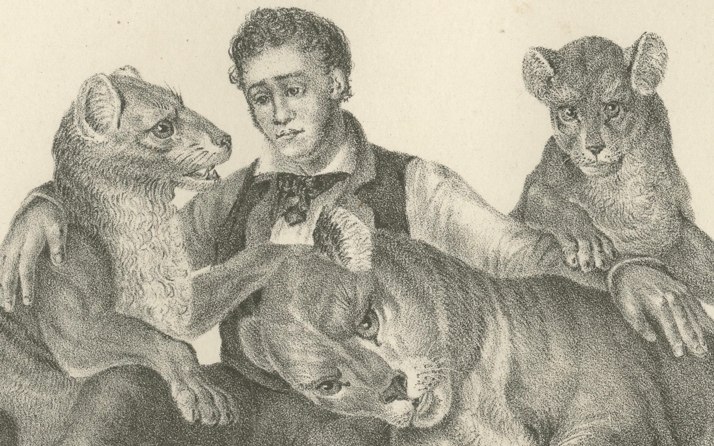 Mid-19th Century 19th-Century Lithograph of a Lioness, Her Cubs, and Their Caretaker For Sale