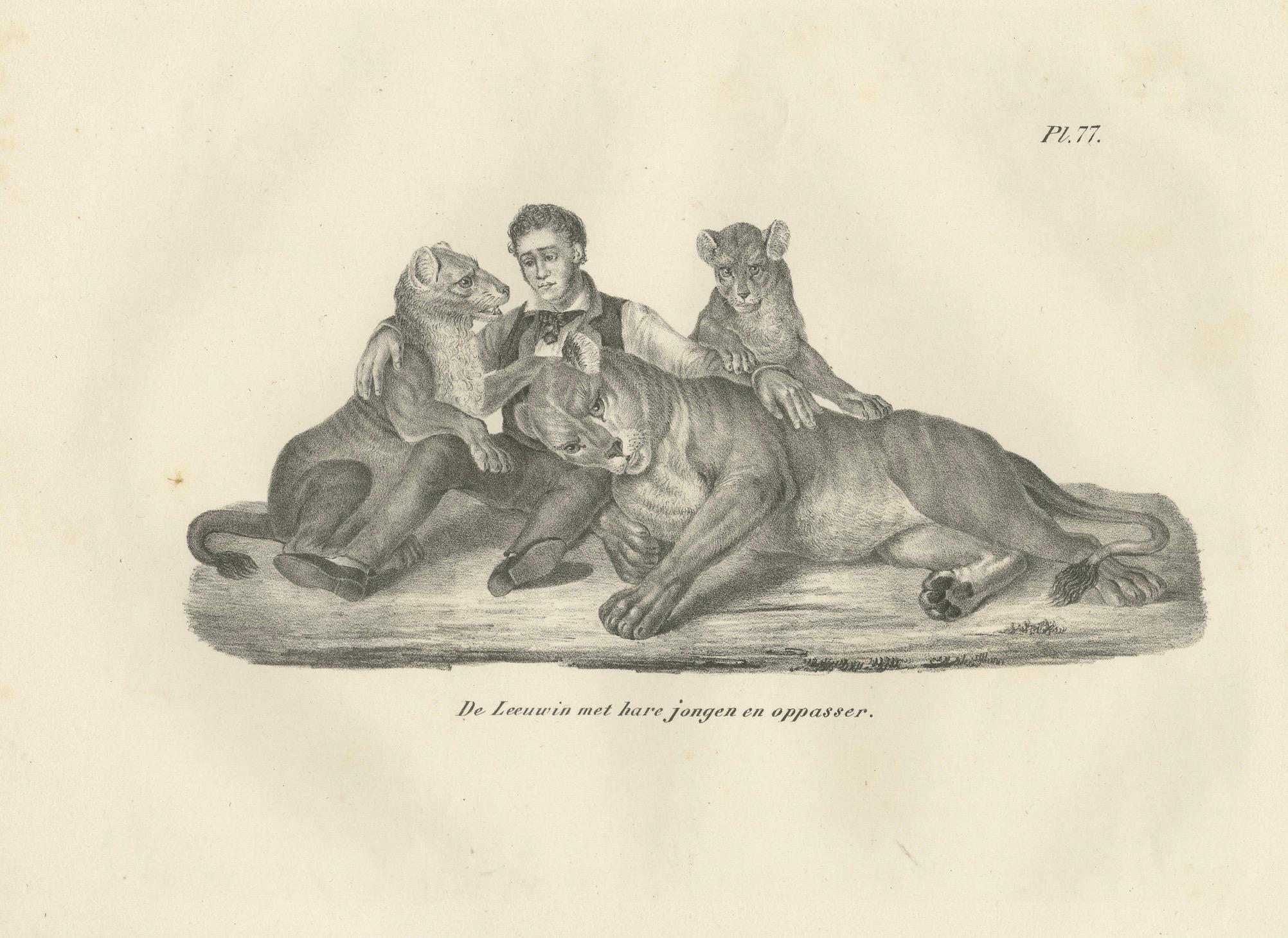 19th-Century Lithograph of a Lioness, Her Cubs, and Their Caretaker For Sale 1