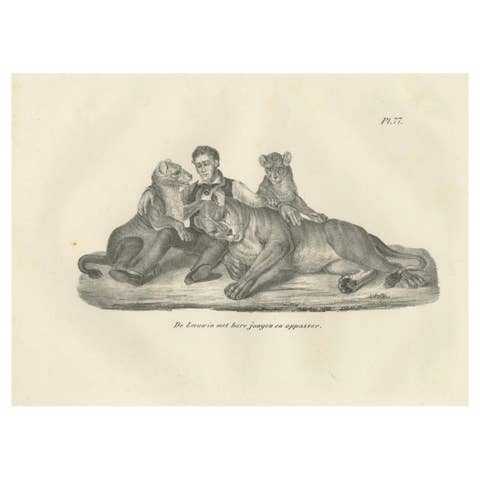 19th-Century Lithograph of a Lioness, Her Cubs, and Their Caretaker