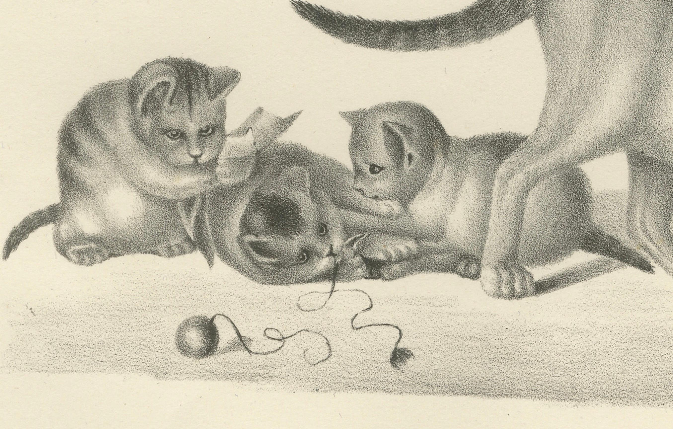 Gravé Lithographie du XIXe siècle représentant des chats domestiques dans des scènes de jeu et de soins en vente